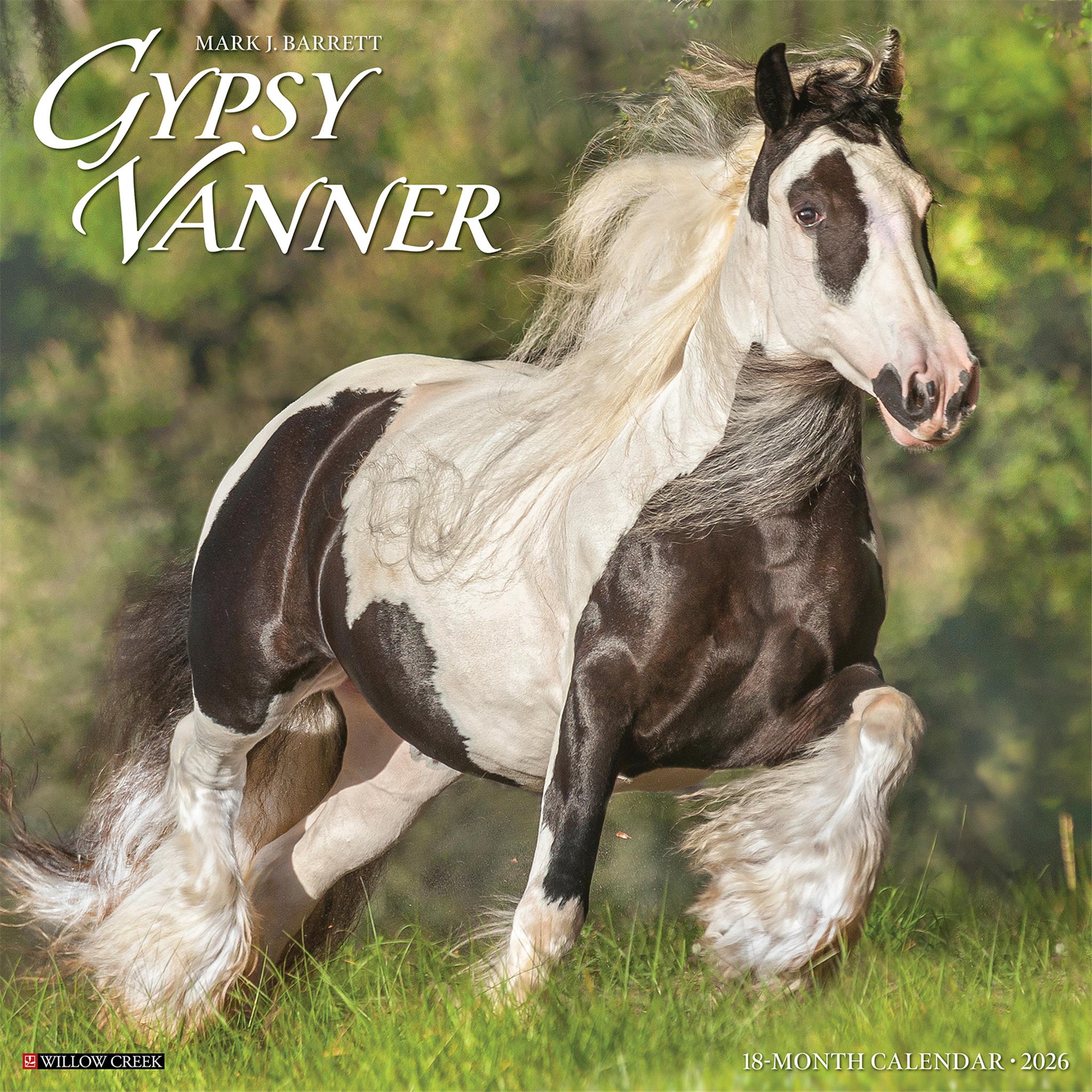 Gypsy Vanner Horse 2026 Wall Calendar