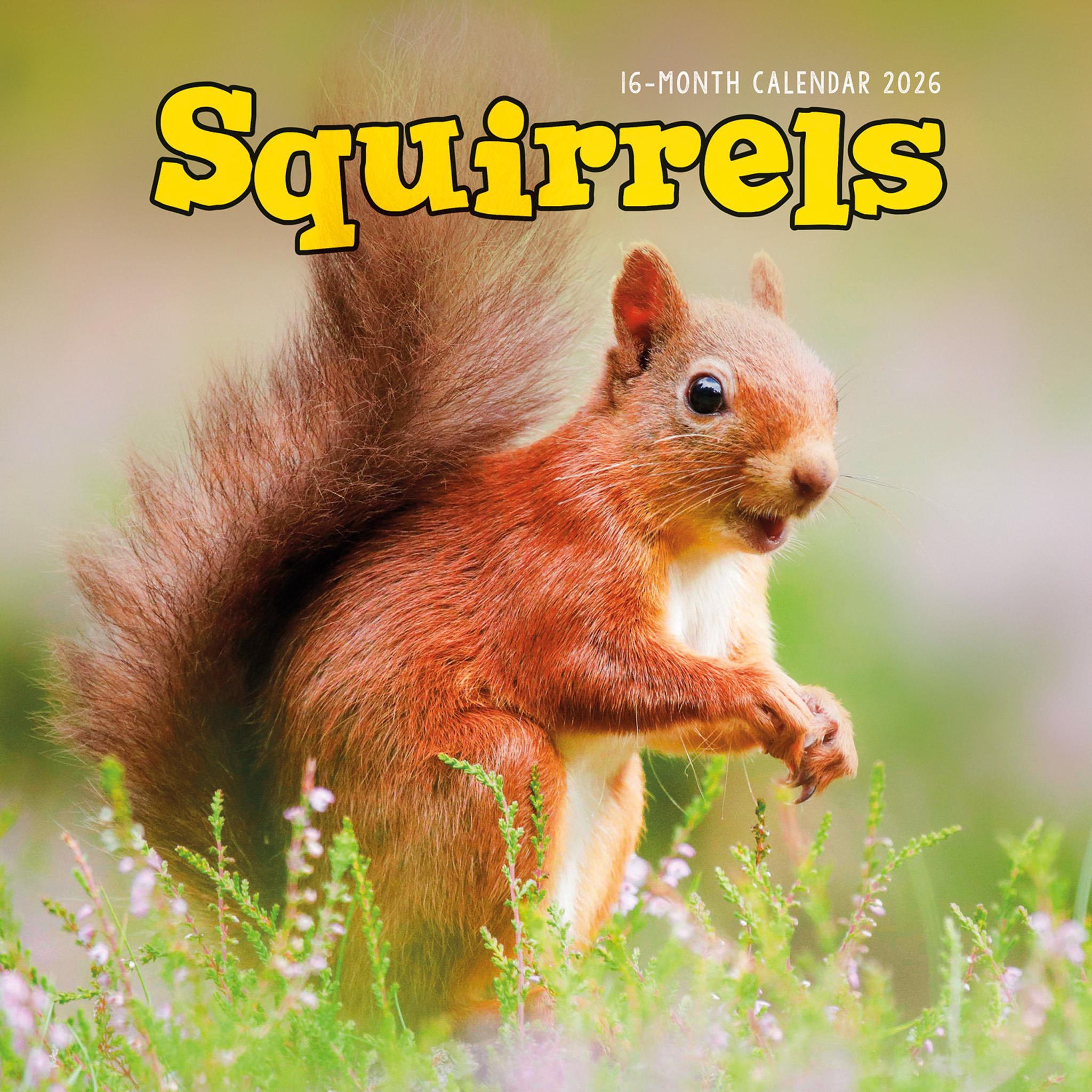Squirrels 2026 Wall Calendar