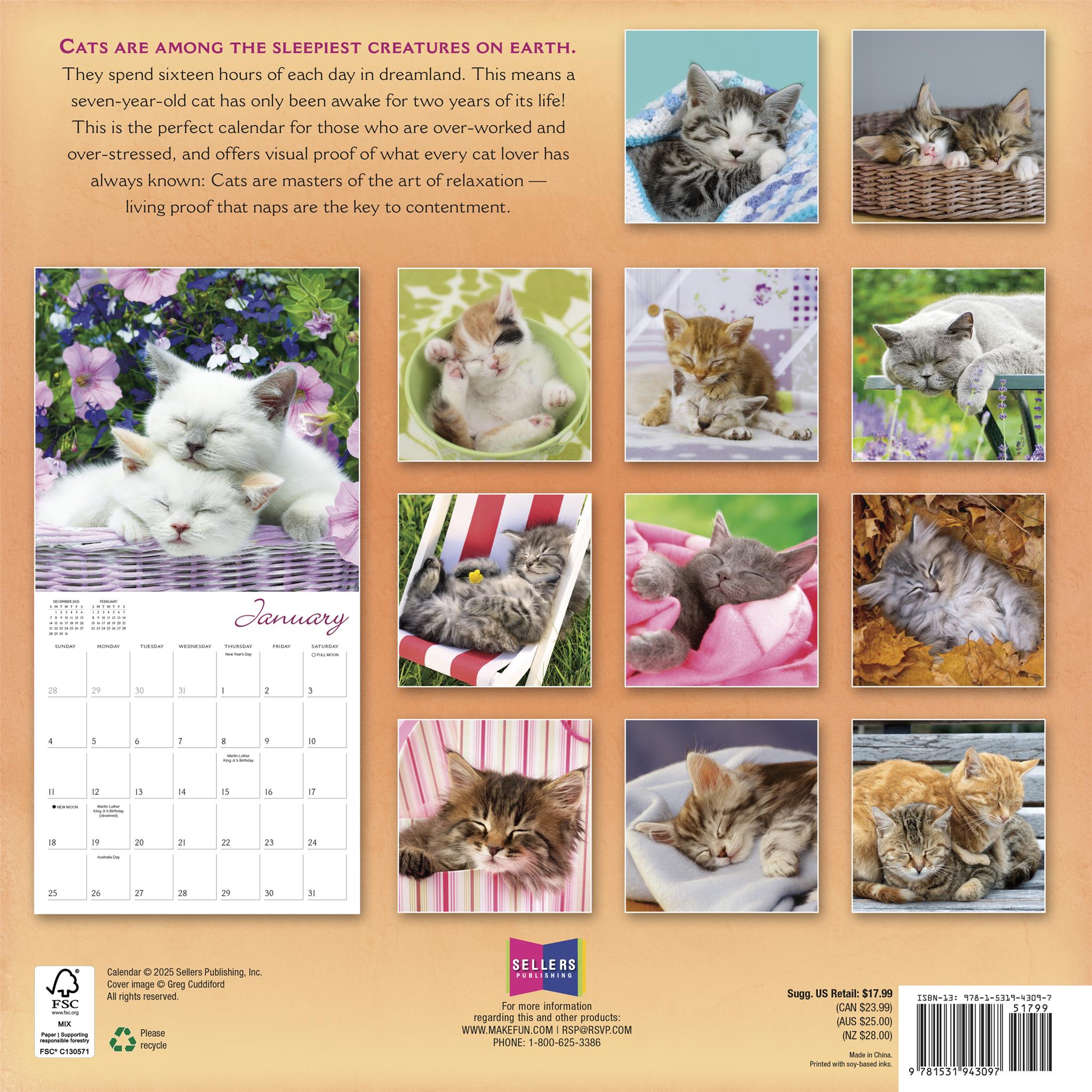 Cat Naps 2026 Wall Calendar - Online Only