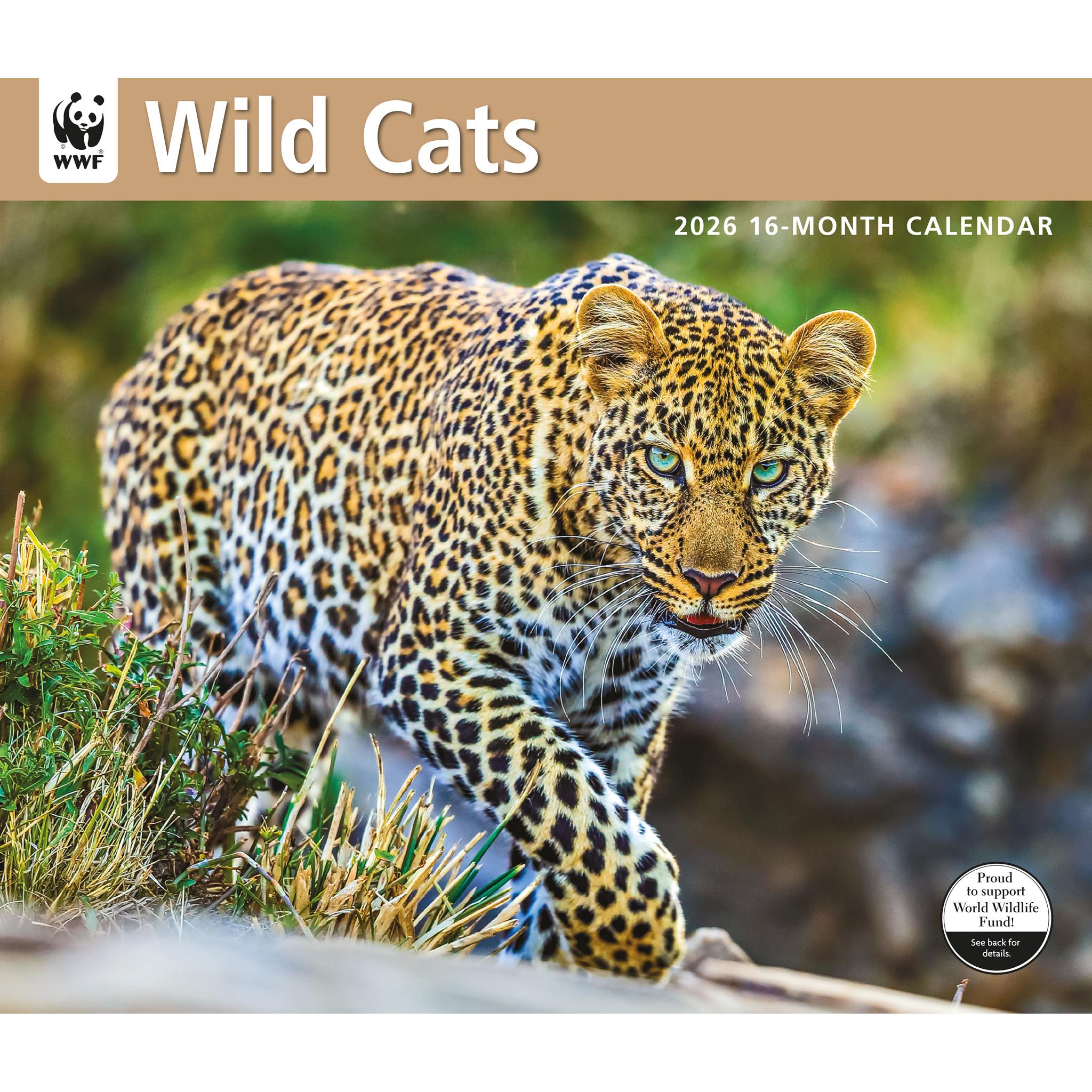 World Wildlife Fund Wild Cats 2026 Wall Calendar