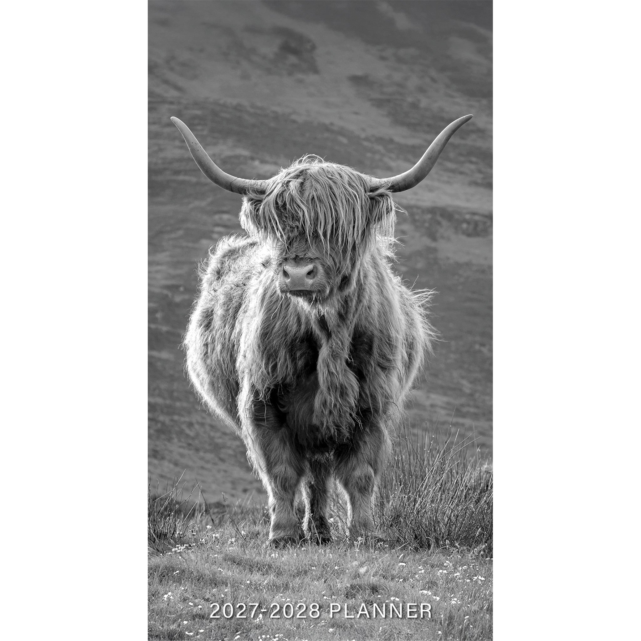 Highland Cows 2027-2028 2-Year Pocket Planner
