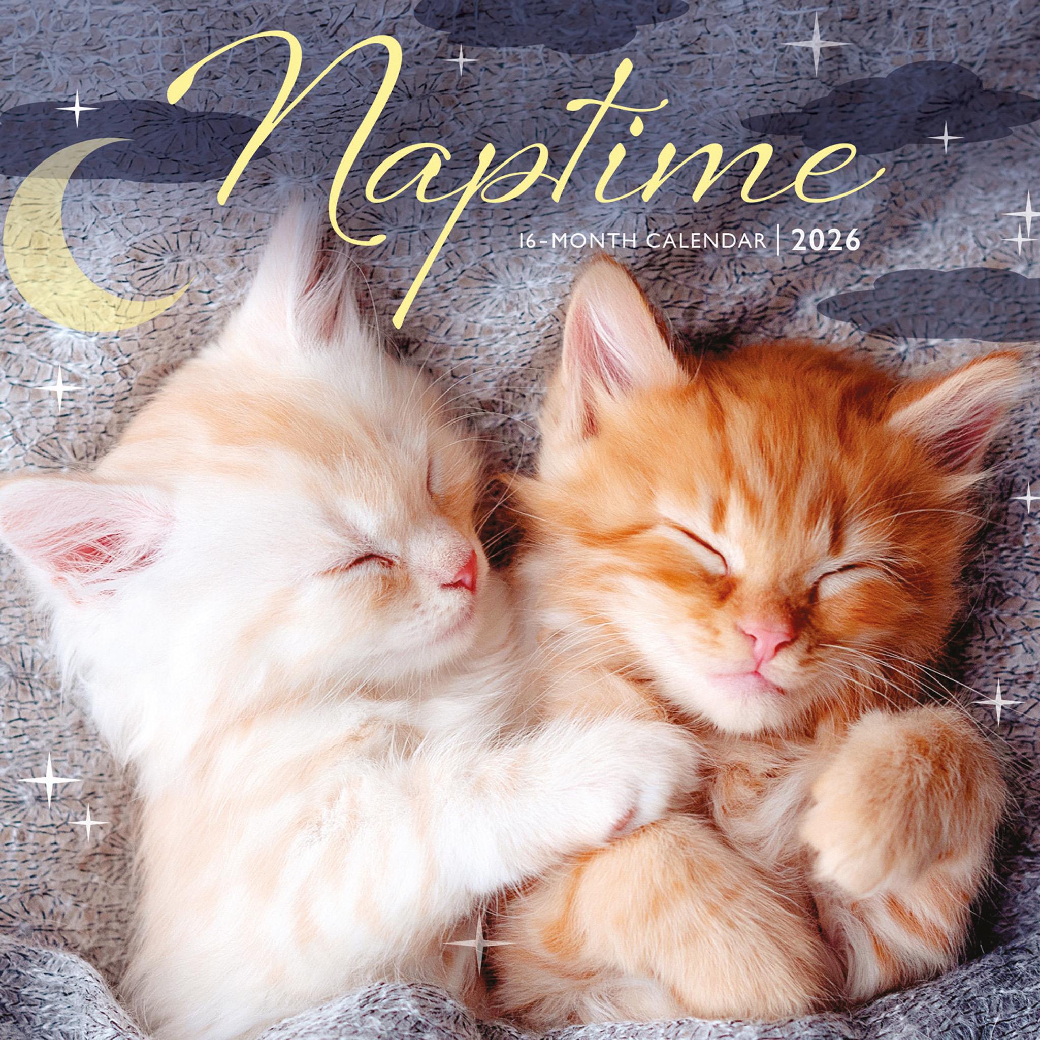 Naptime 2026 Mini Calendar