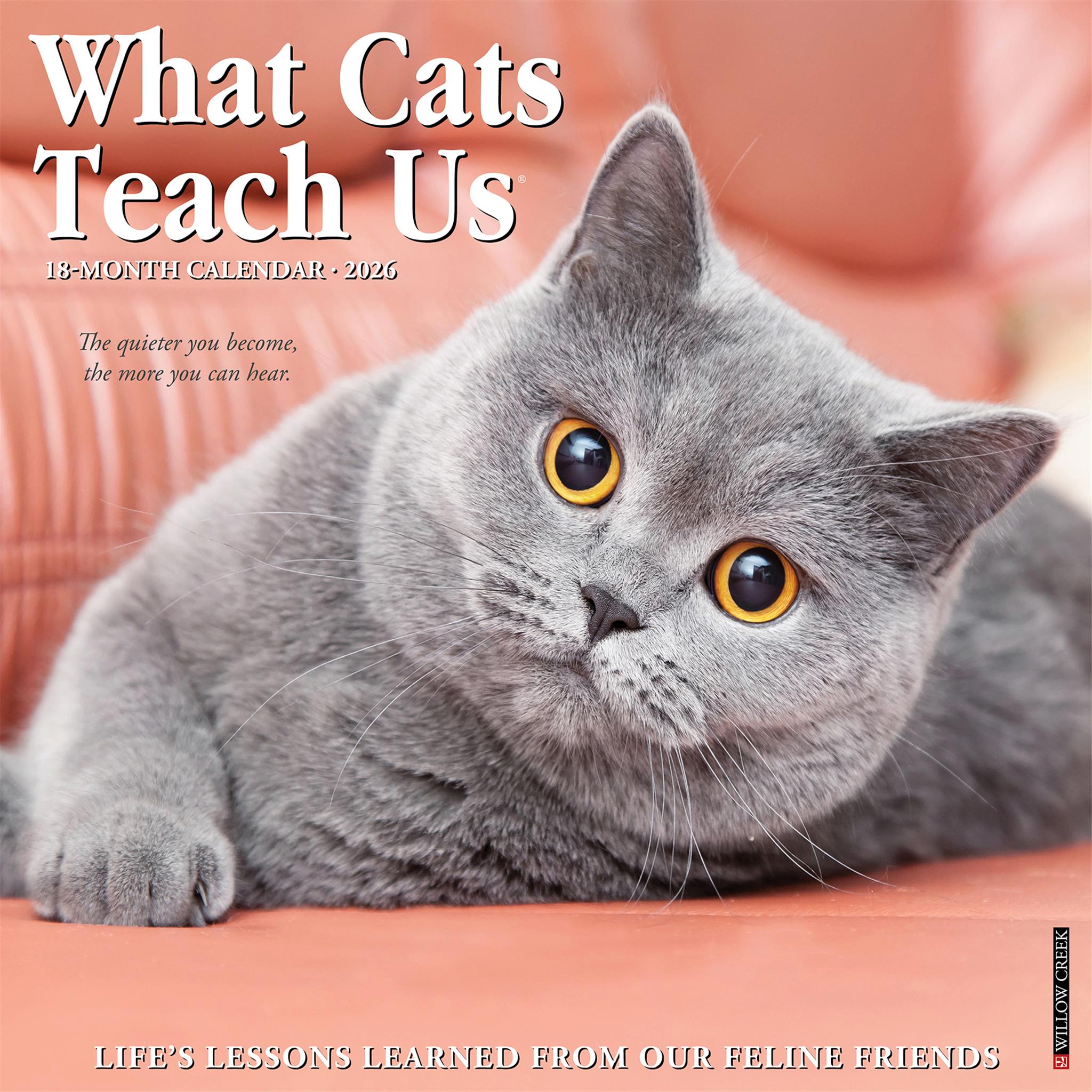 What Cats Teach Us 2026 Wall Calendar - Calendar Club Canada