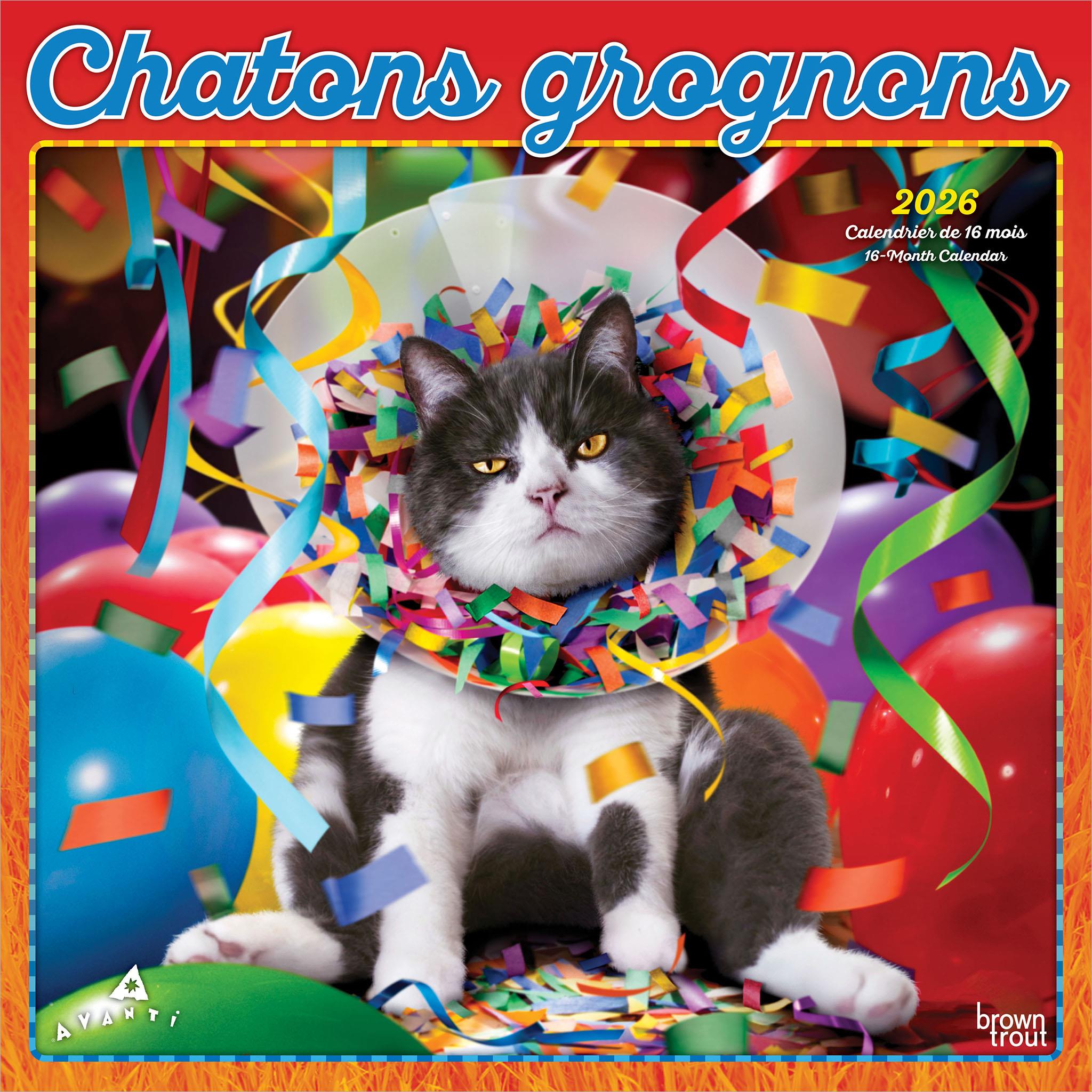 Chatons Grognons 2026 Wall Calendar (French)