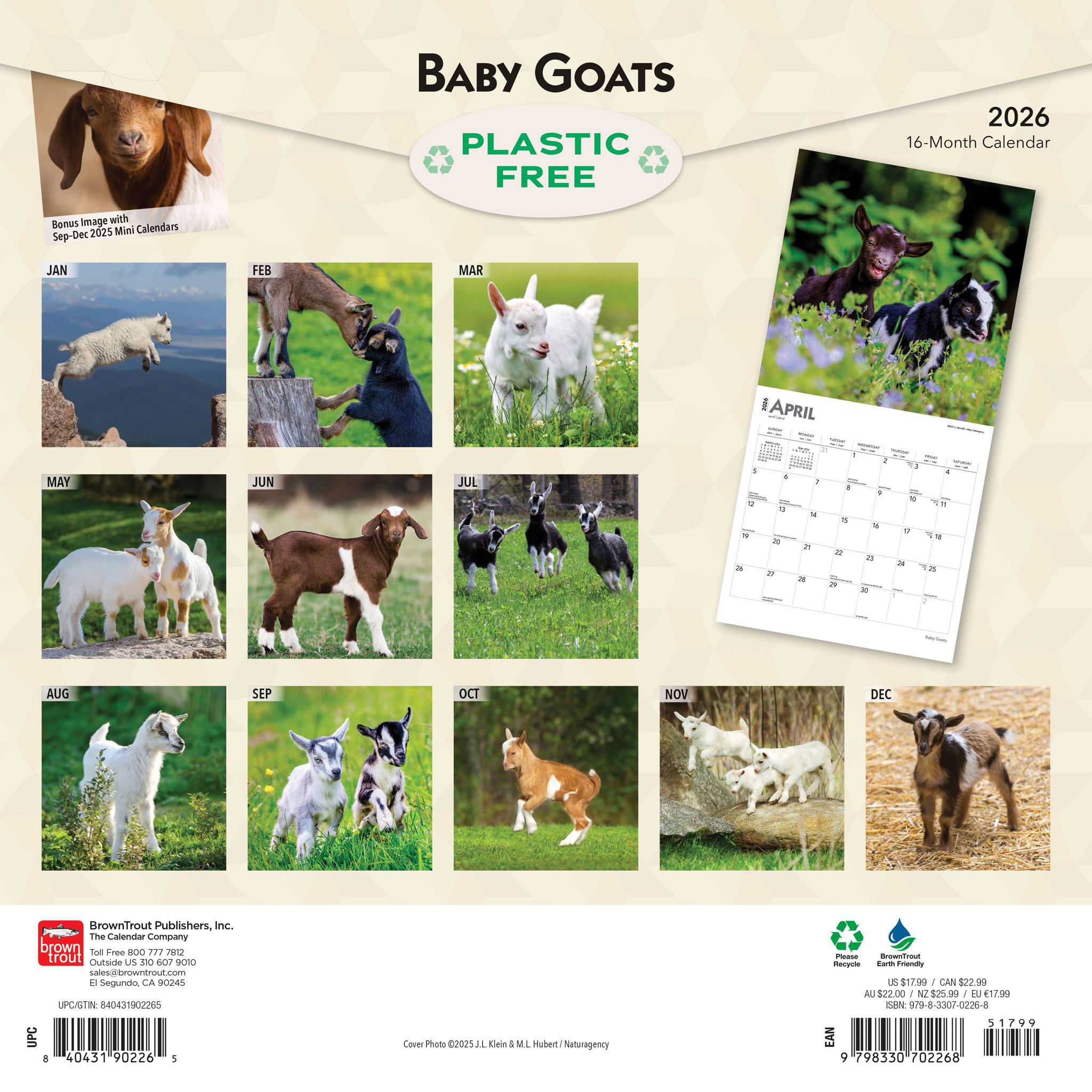 Baby Goats 2026 Wall Calendar