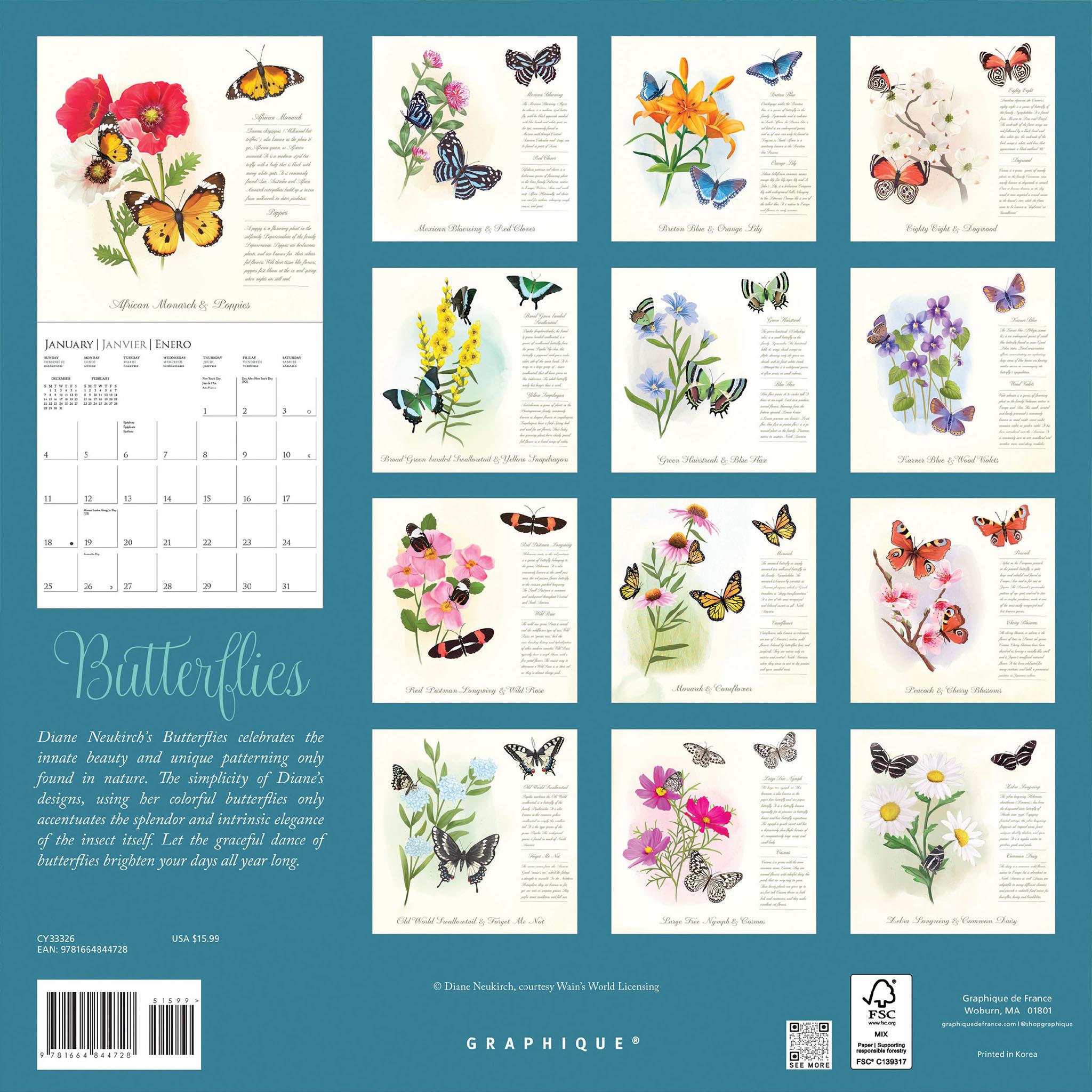 Butterflies 2026 Wall Calendar - Online Only