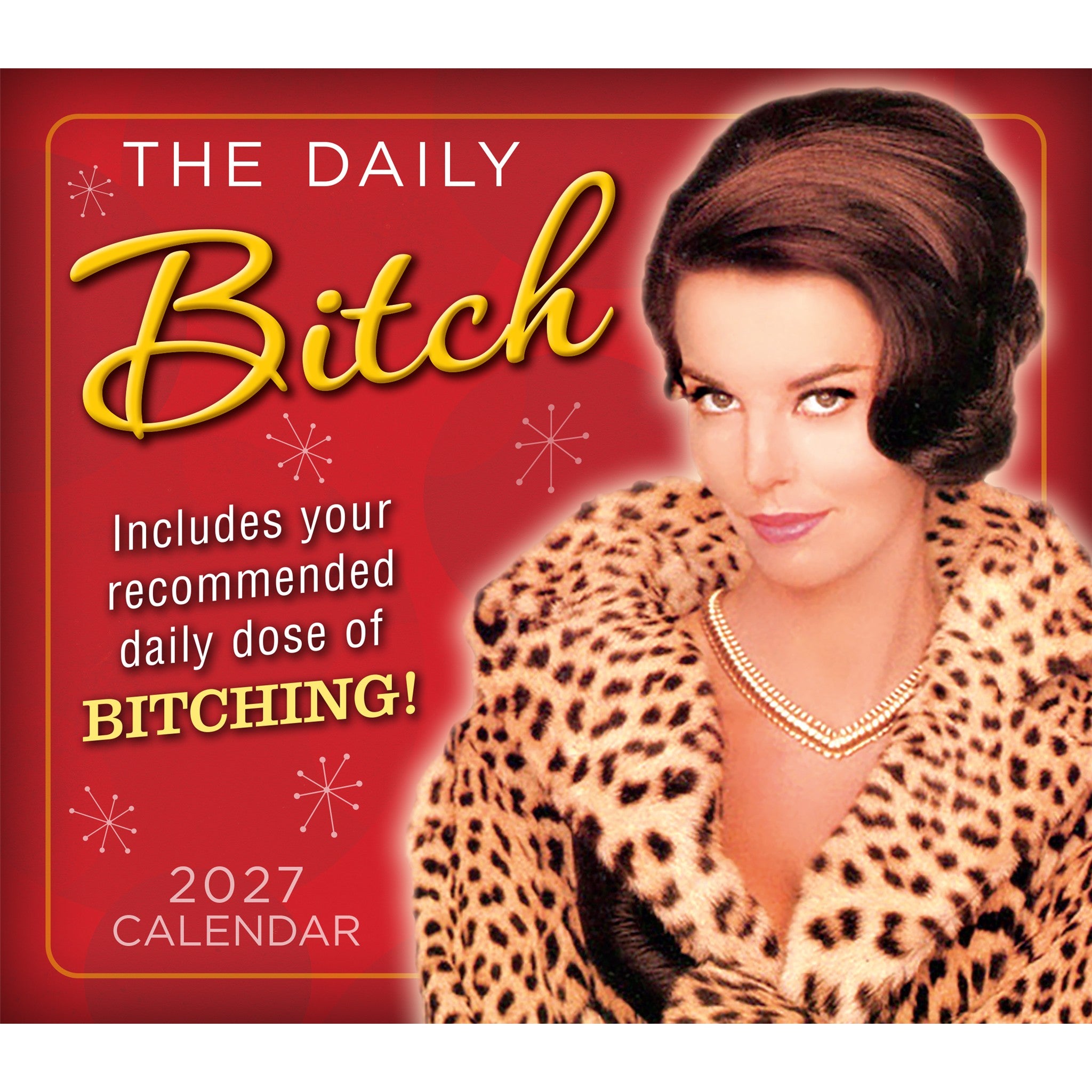 Daily Bitch 2027 Box Calendar