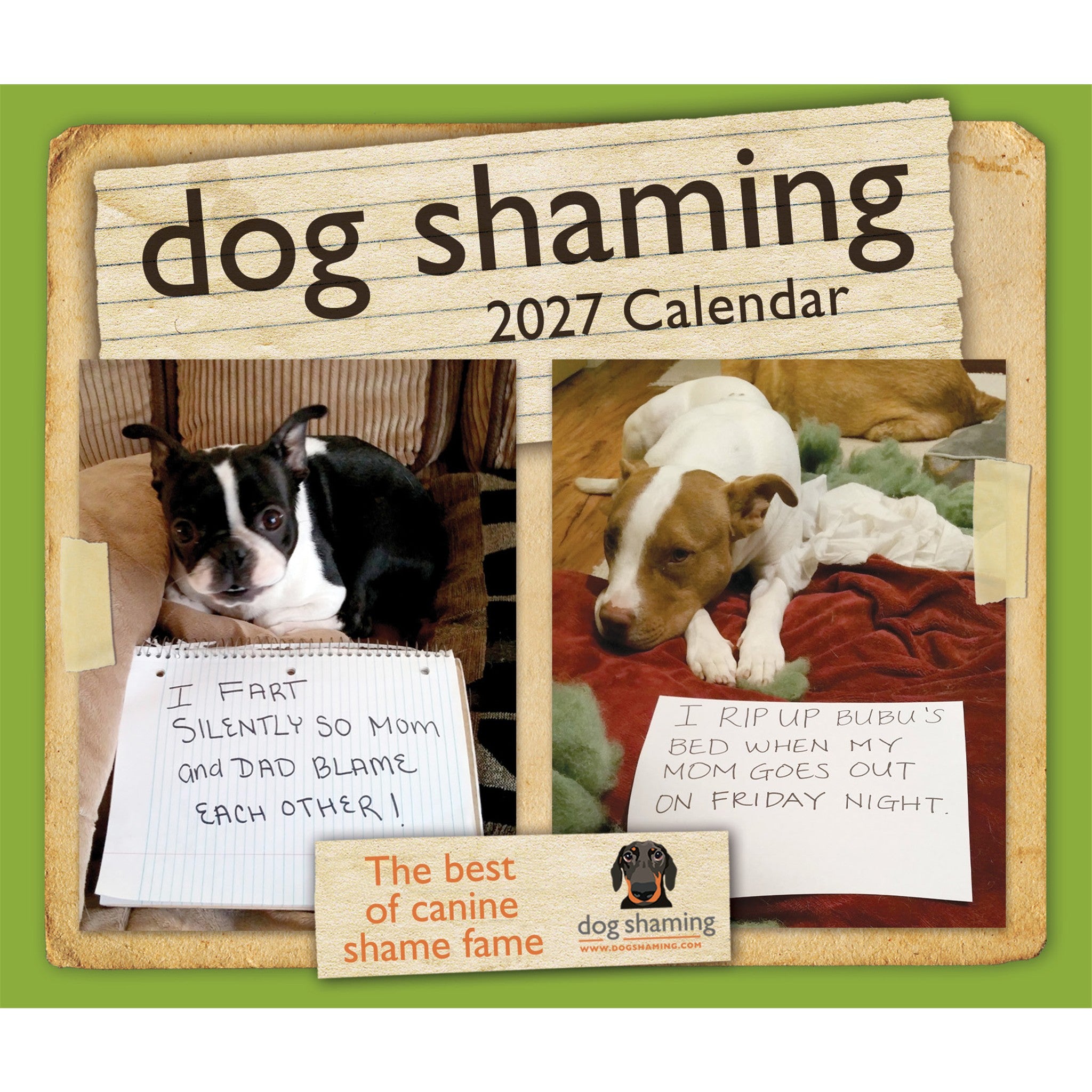 Dog Shaming 2027 Box Calendar