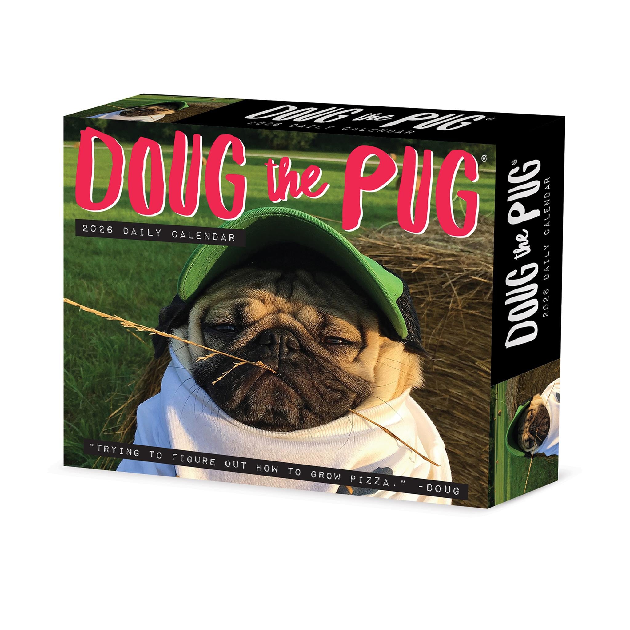 Doug The Pug 2026 Box Calendar