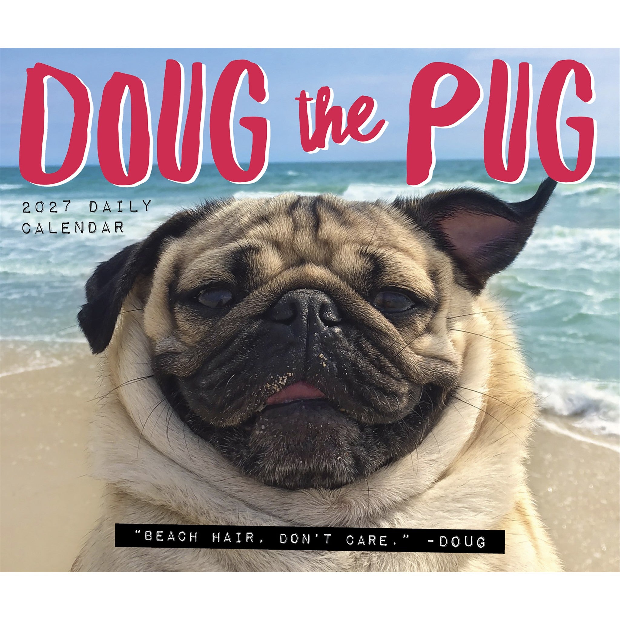 Doug the Pug 2027 Box Calendar