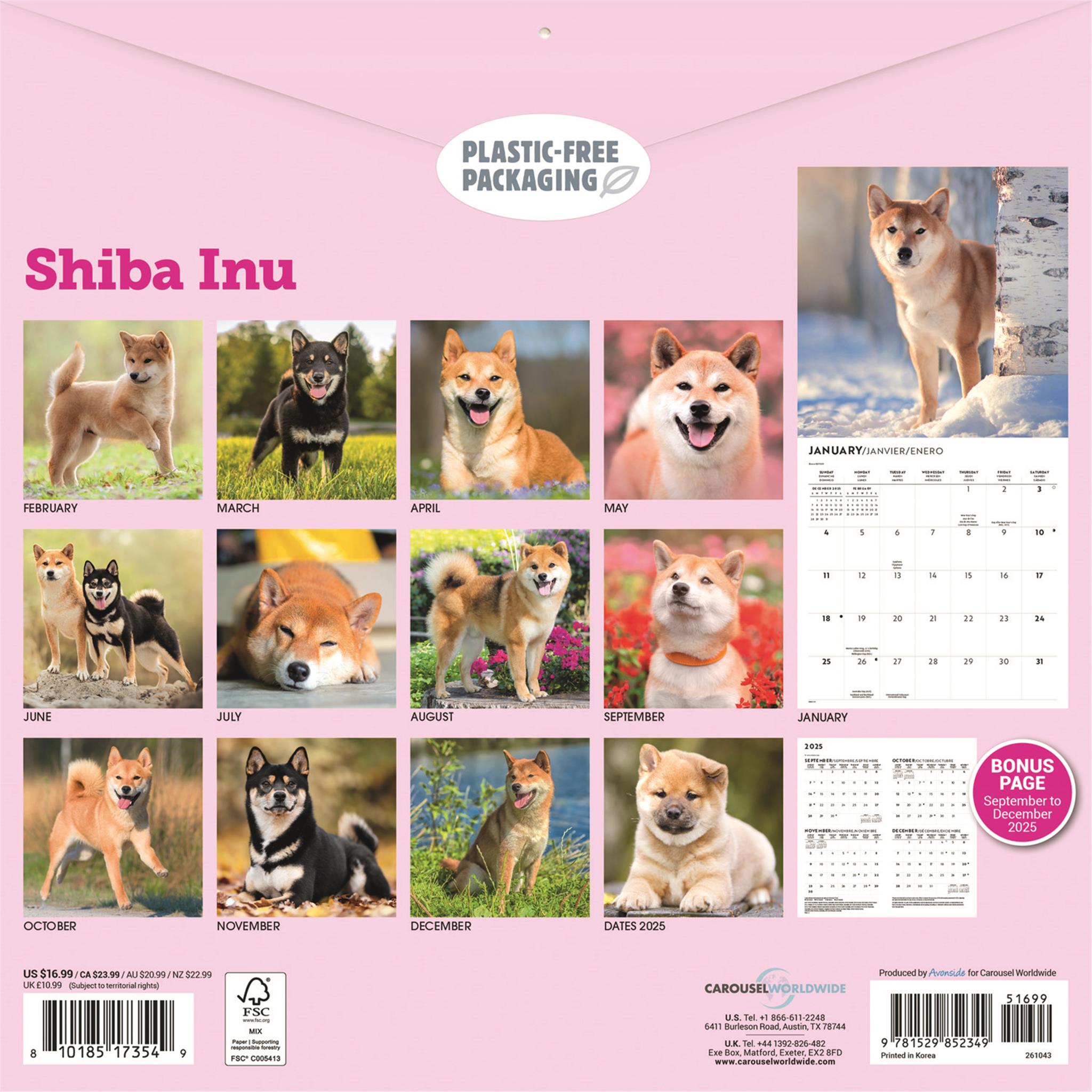 Shiba Inu 2026 Wall Calendar