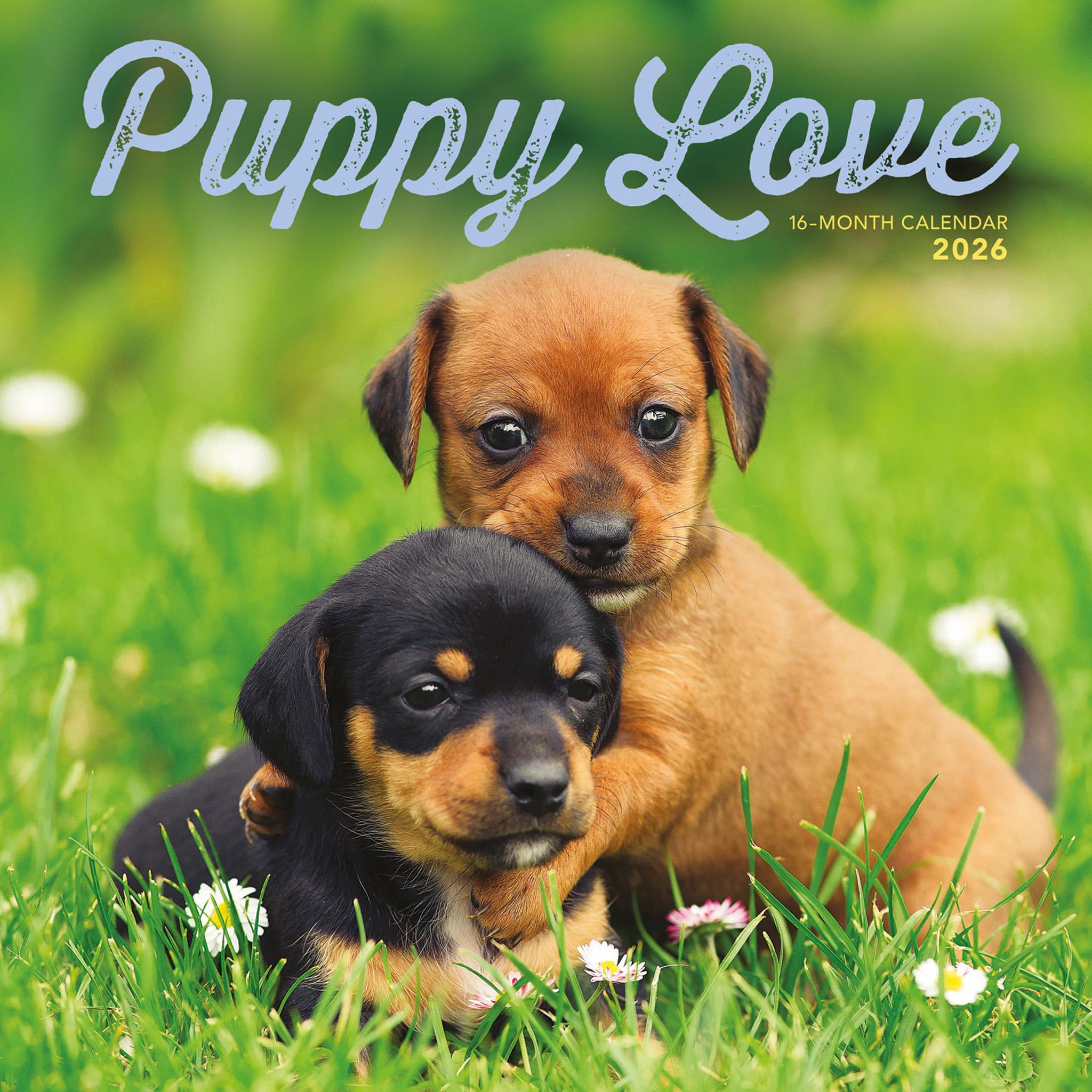 Puppy Love 2026 Wall Calendar - Calendar Club Canada