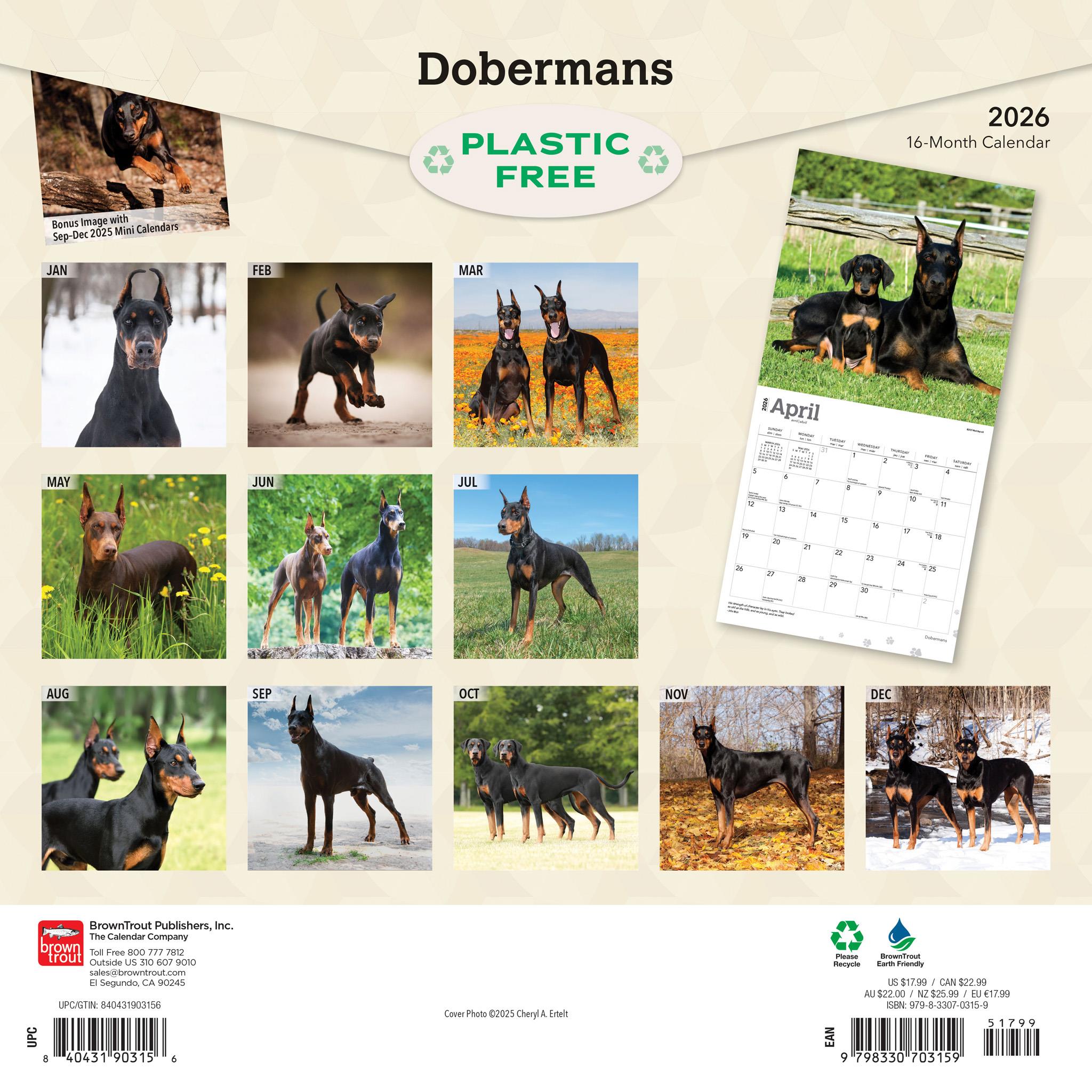 Dobermans 2026 Wall Calendar