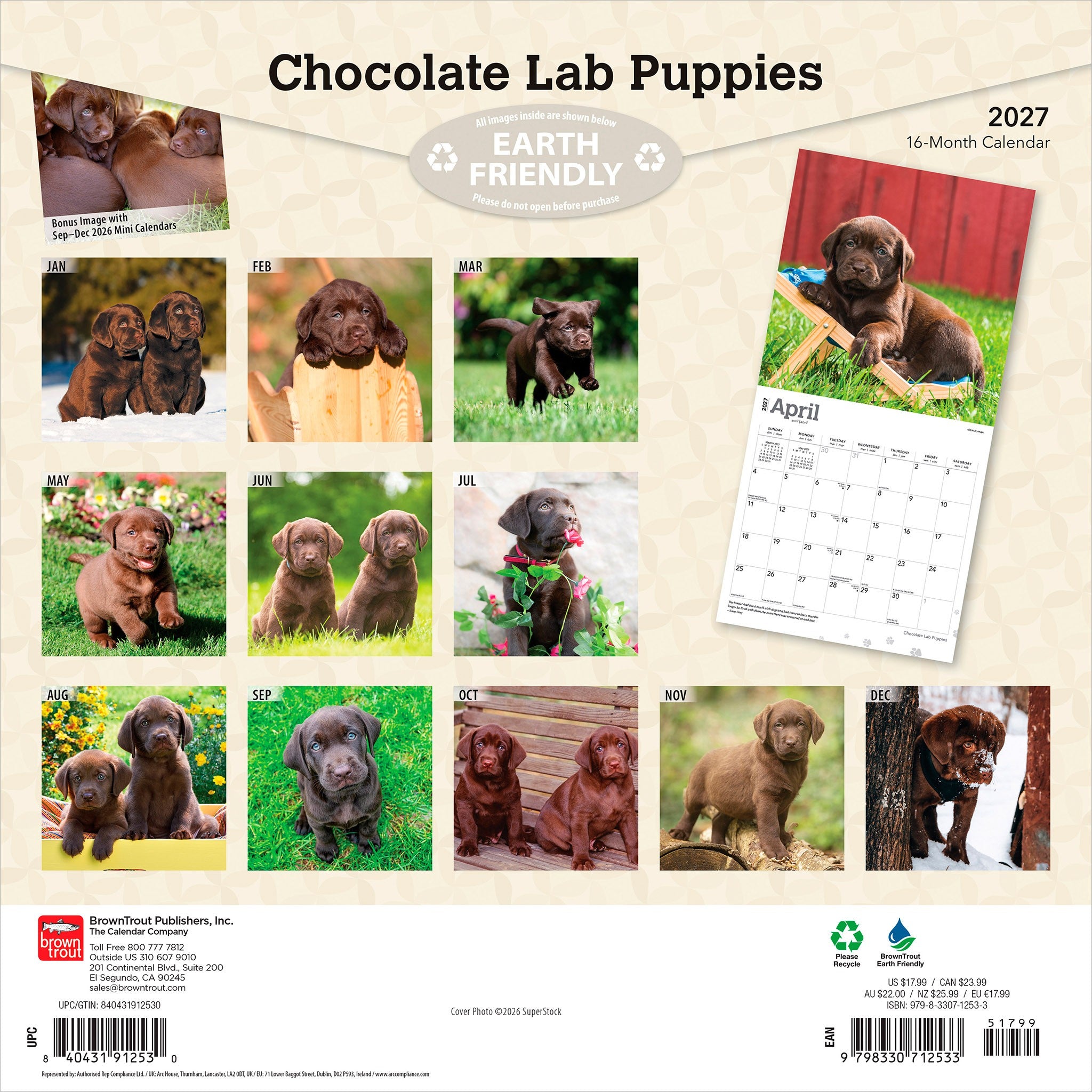 Chocolate Lab Puppies 2027 Wall Calendar