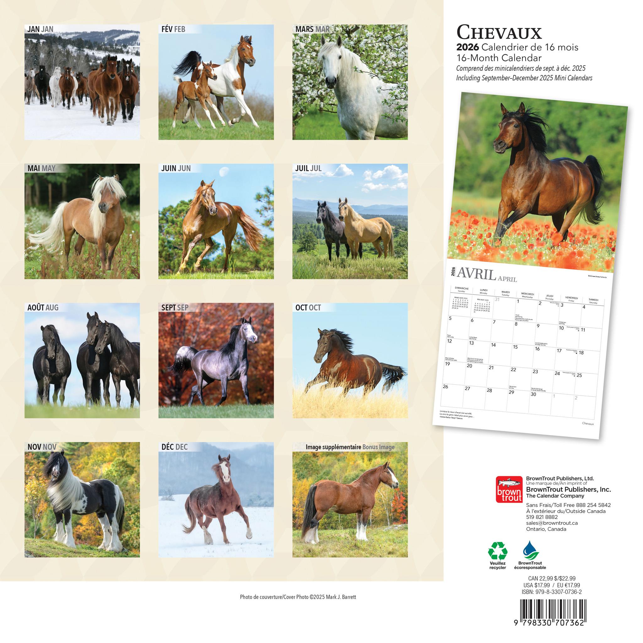 Chevaux 2026 Wall Calendar (French)