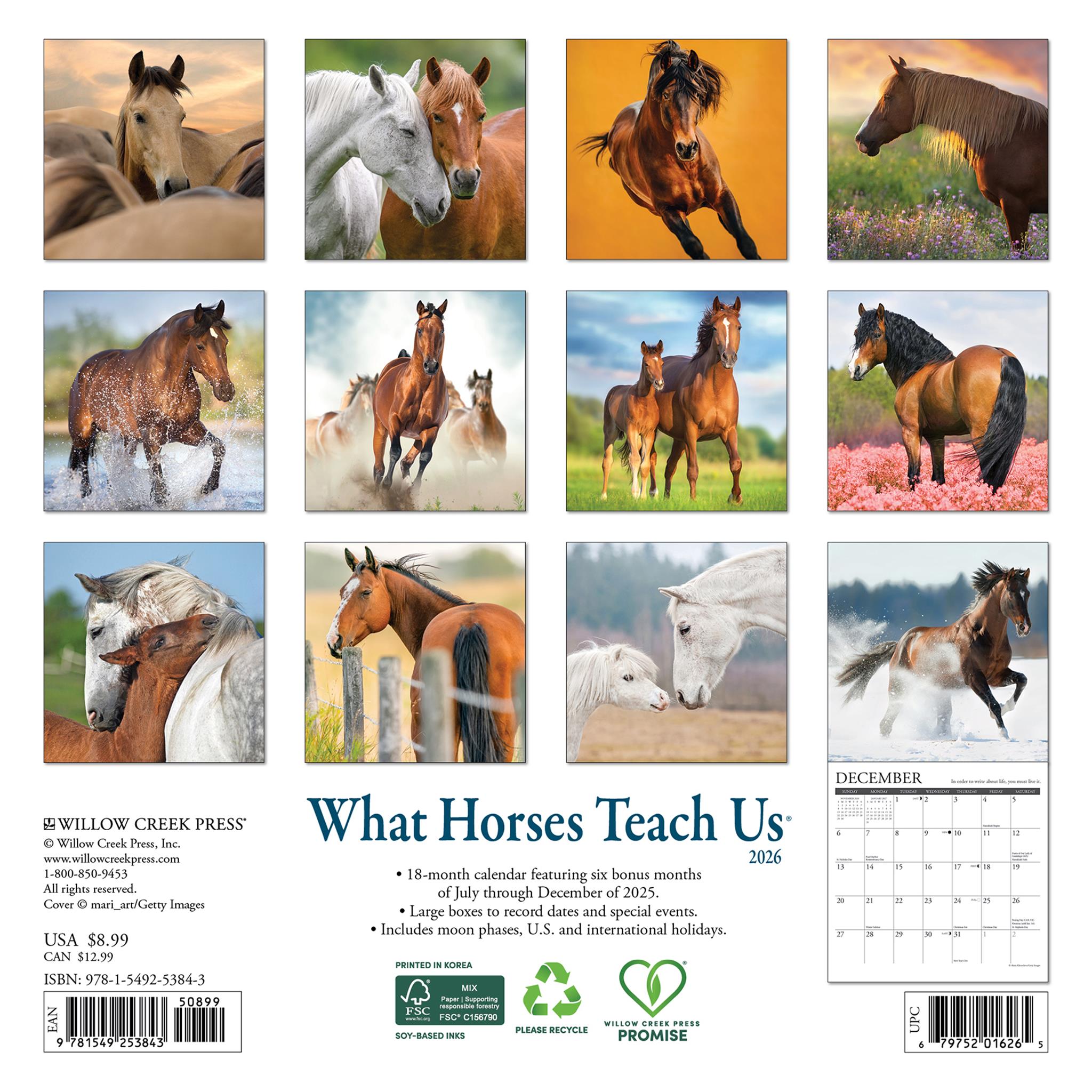 What Horses Teach Us 2026 Mini Calendar
