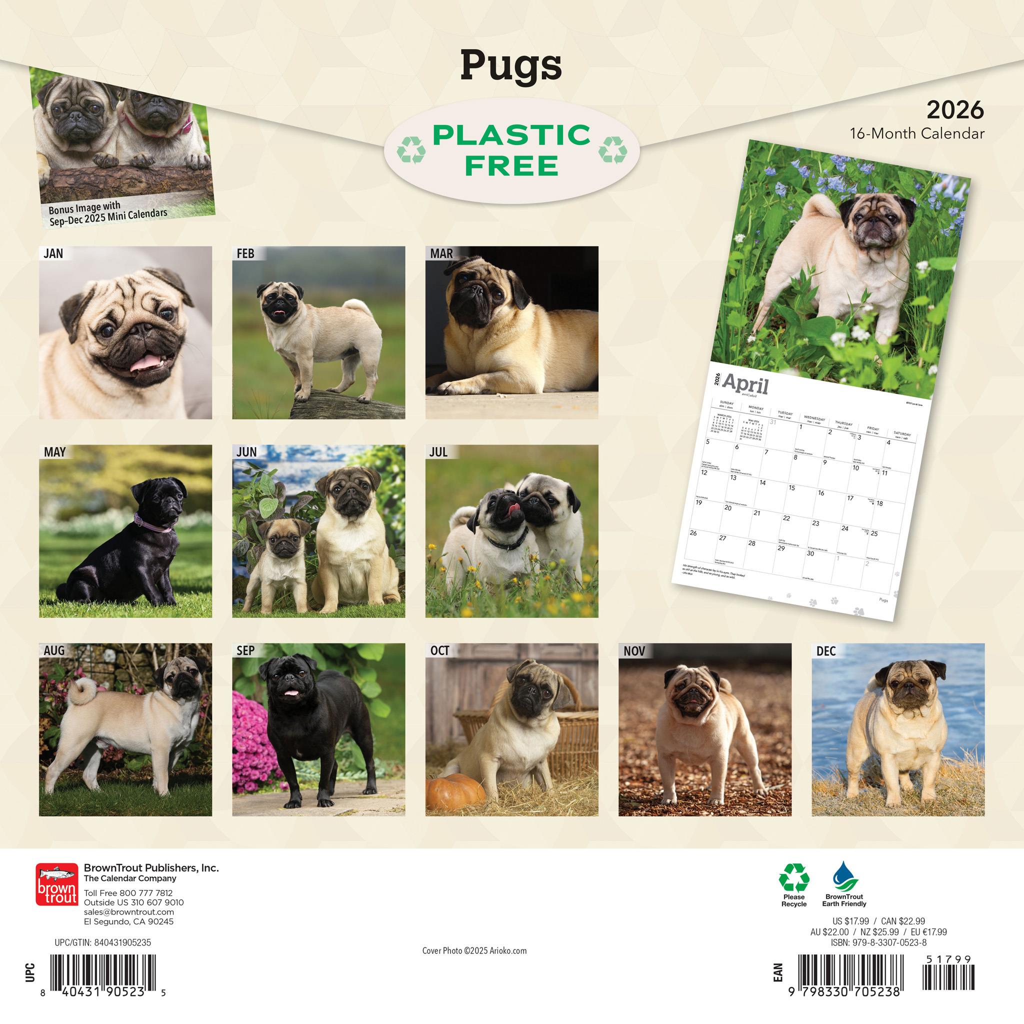 Pugs 2026 Wall Calendar