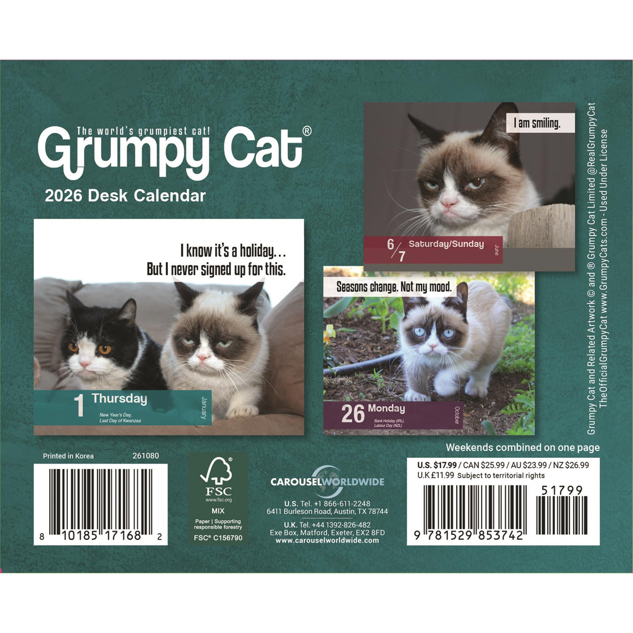 Grumpy Cat 2026 Box Calendar