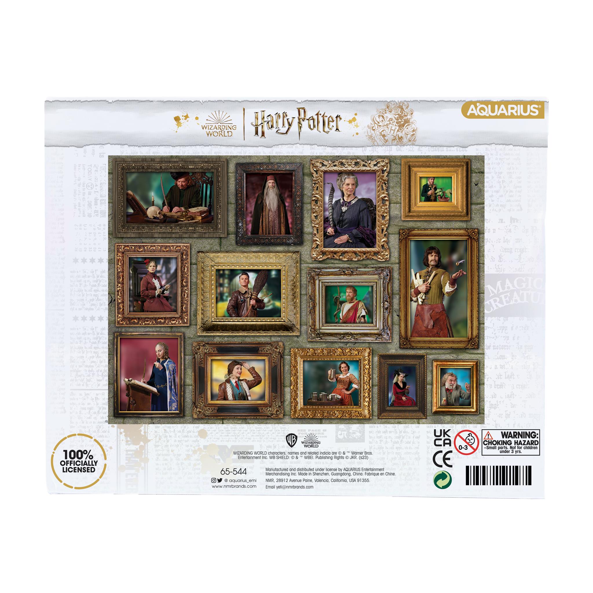 Harry Potter Witches and Wizards 1000 Piece Puzzle