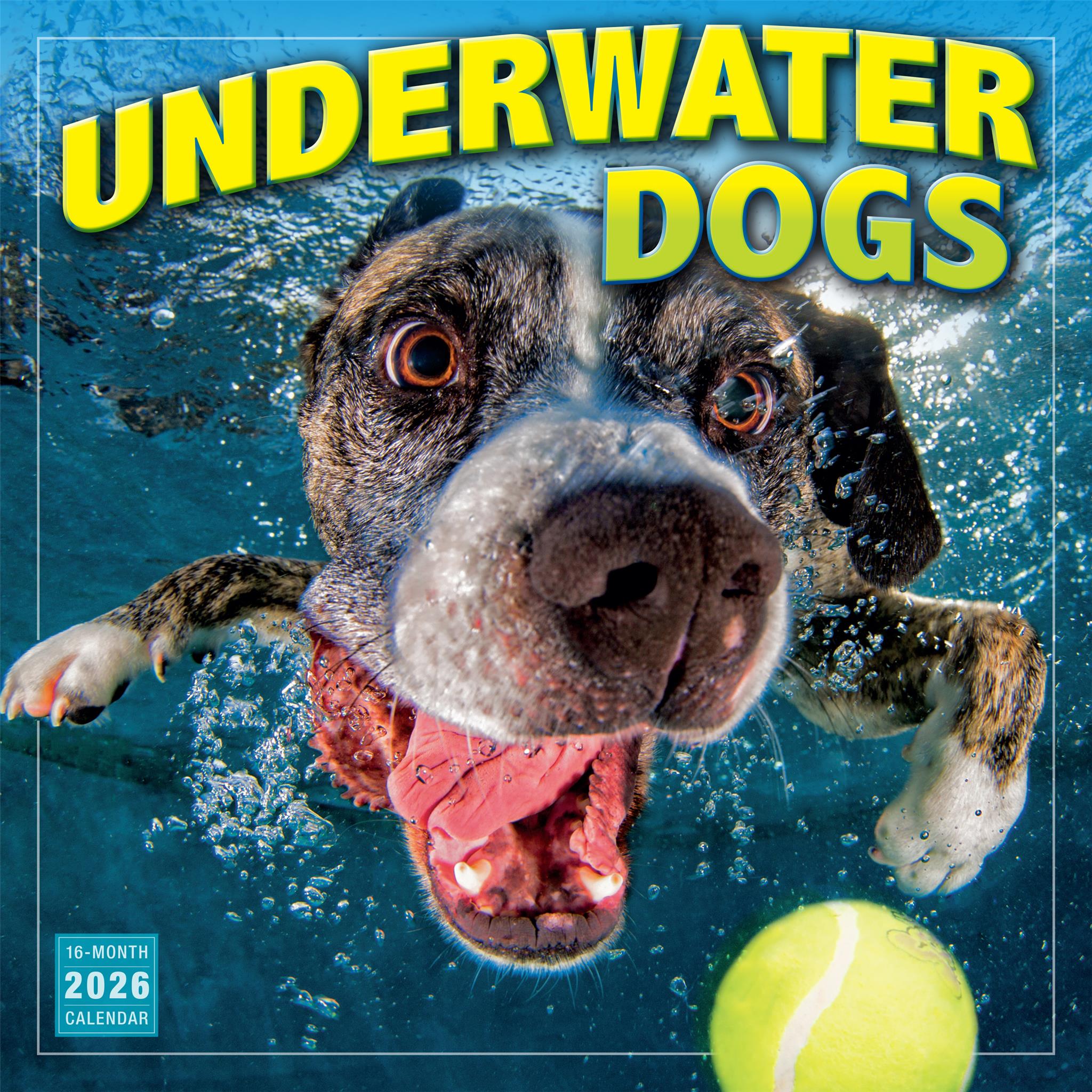 Underwater Dogs 2026 Wall Calendar
