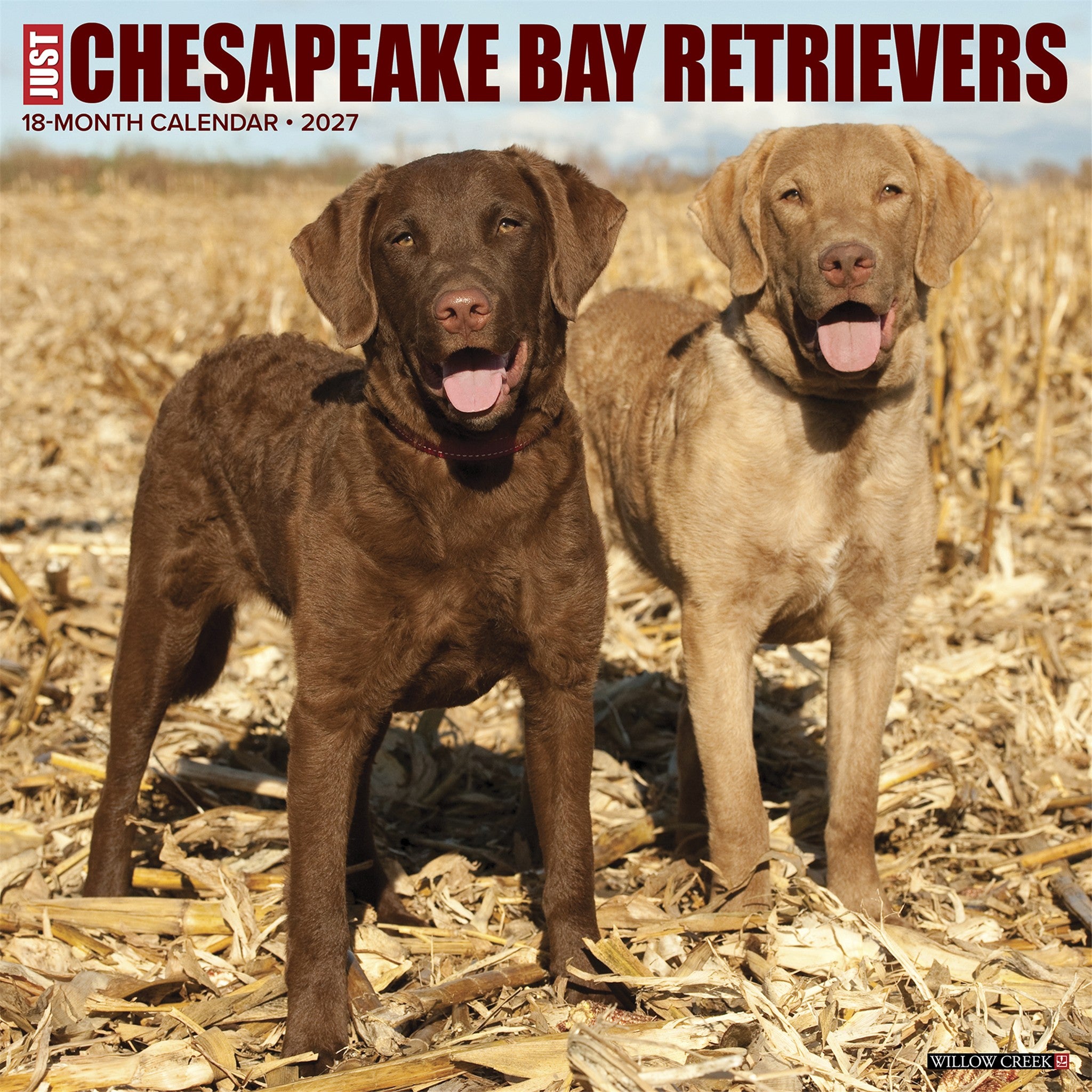 Chesapeake Bay Retrievers 2027 Wall Calendar