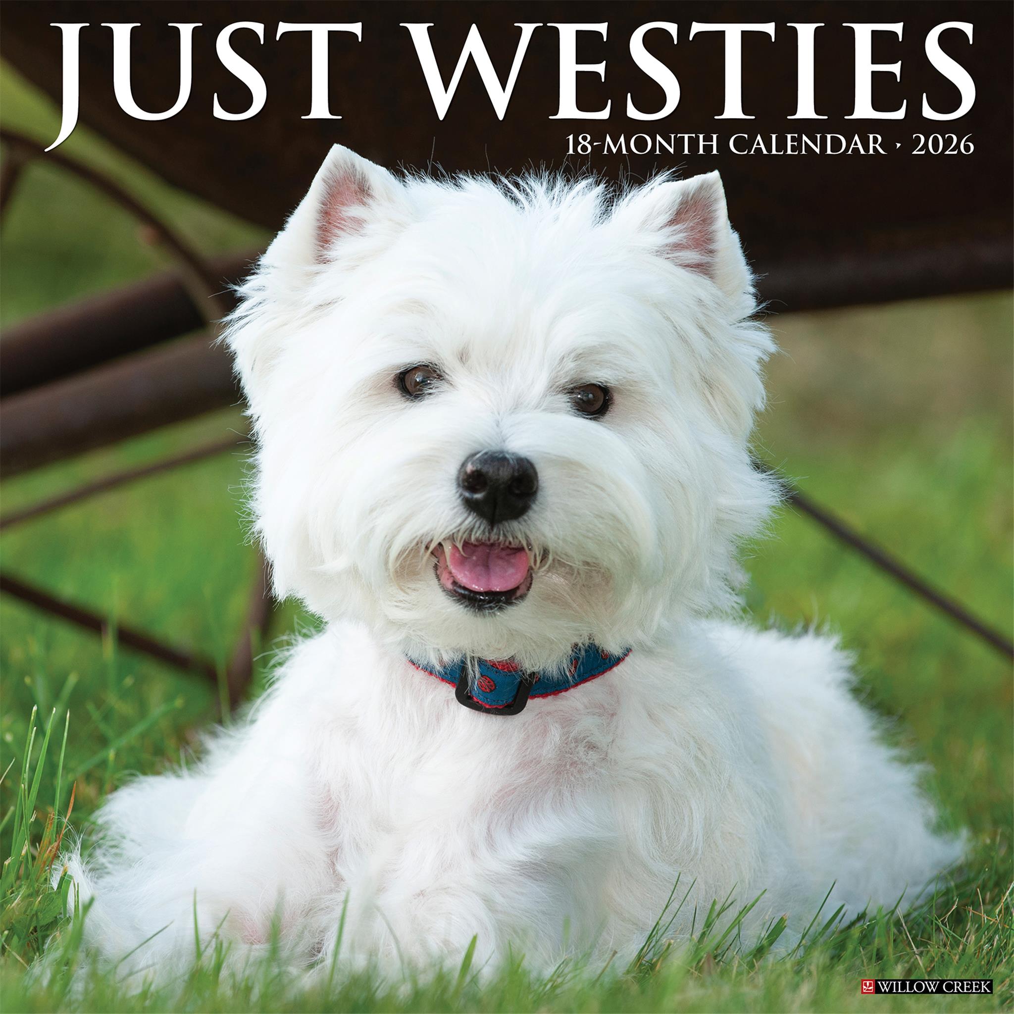 Westies 2026 Just Wall Calendar - Online Only