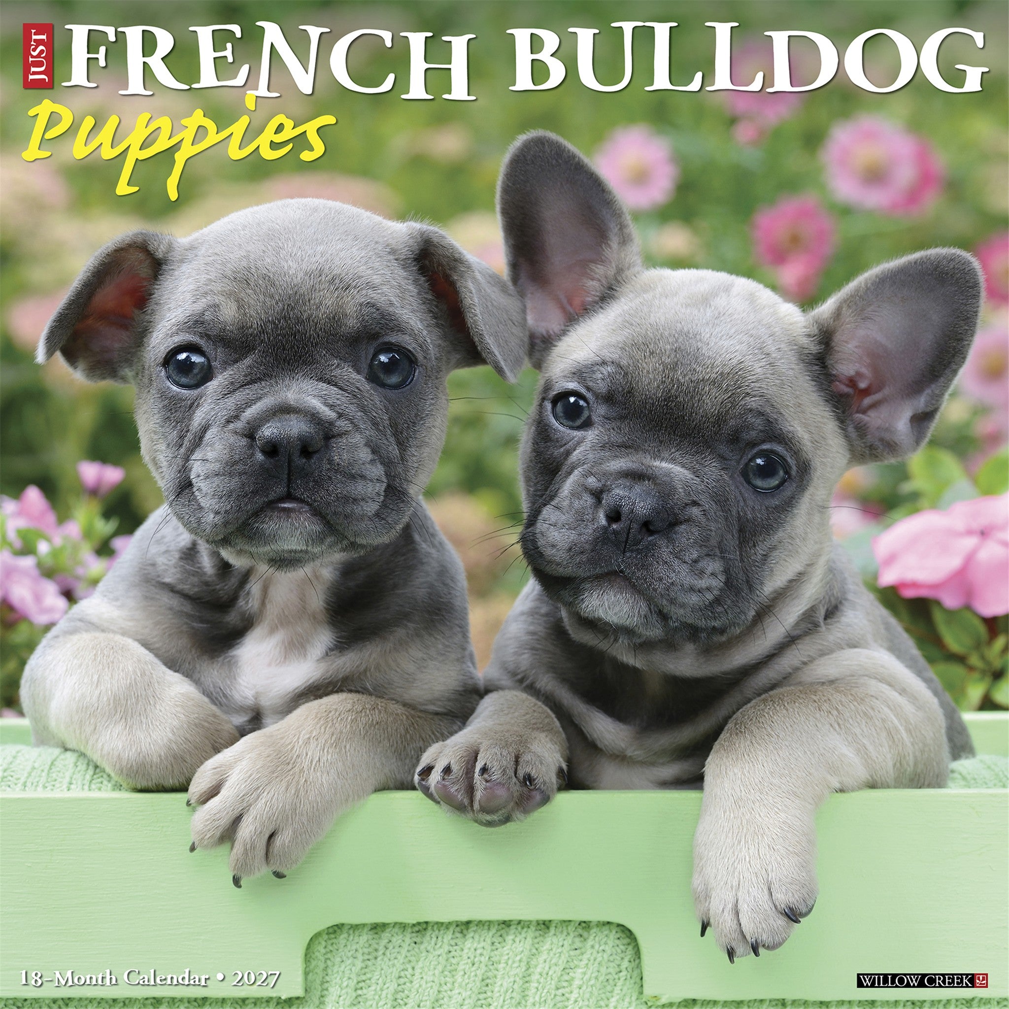 French Bulldog Puppies 2027 Wall Calendar