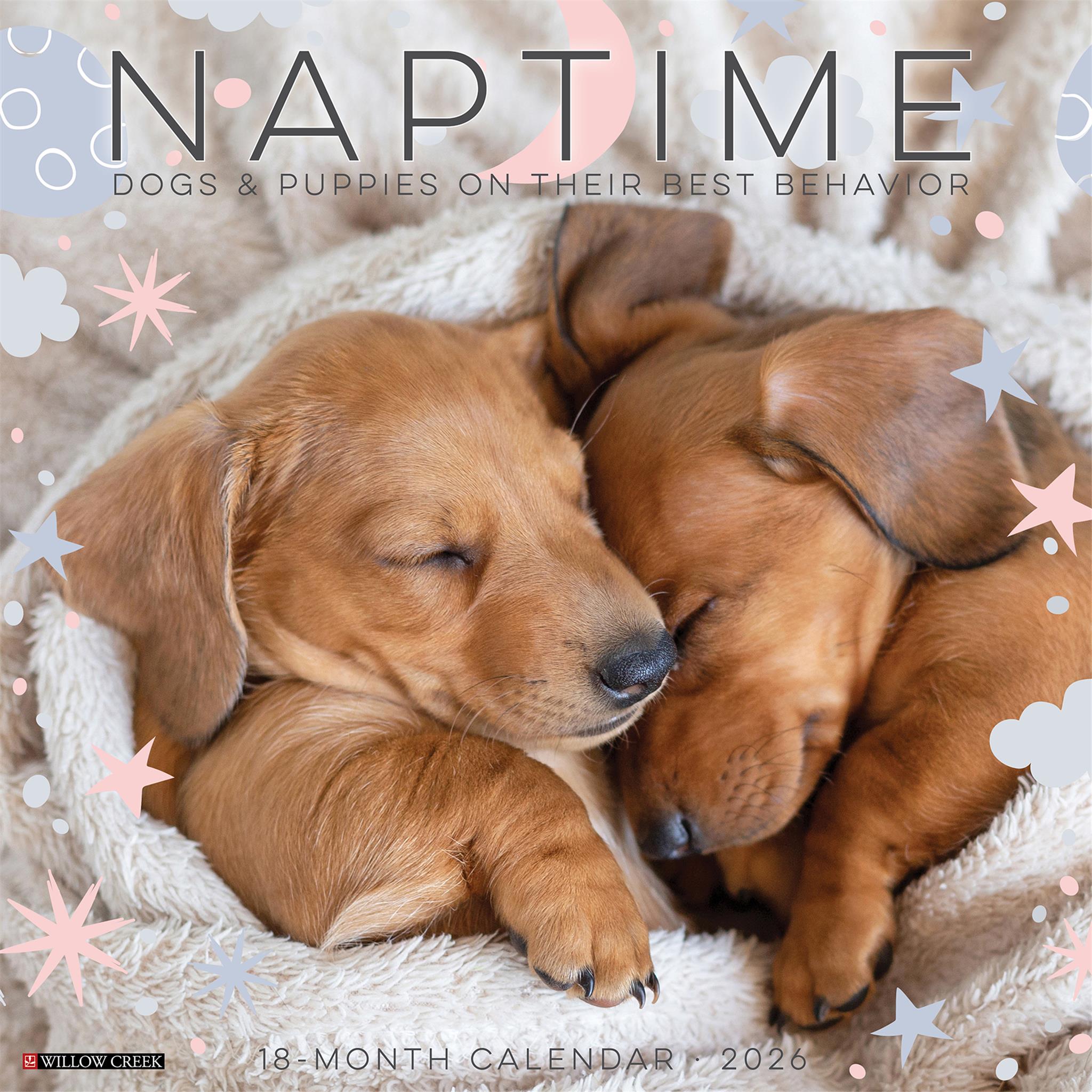 Naptime Dogs And Puppies 2026 Wall Calendar