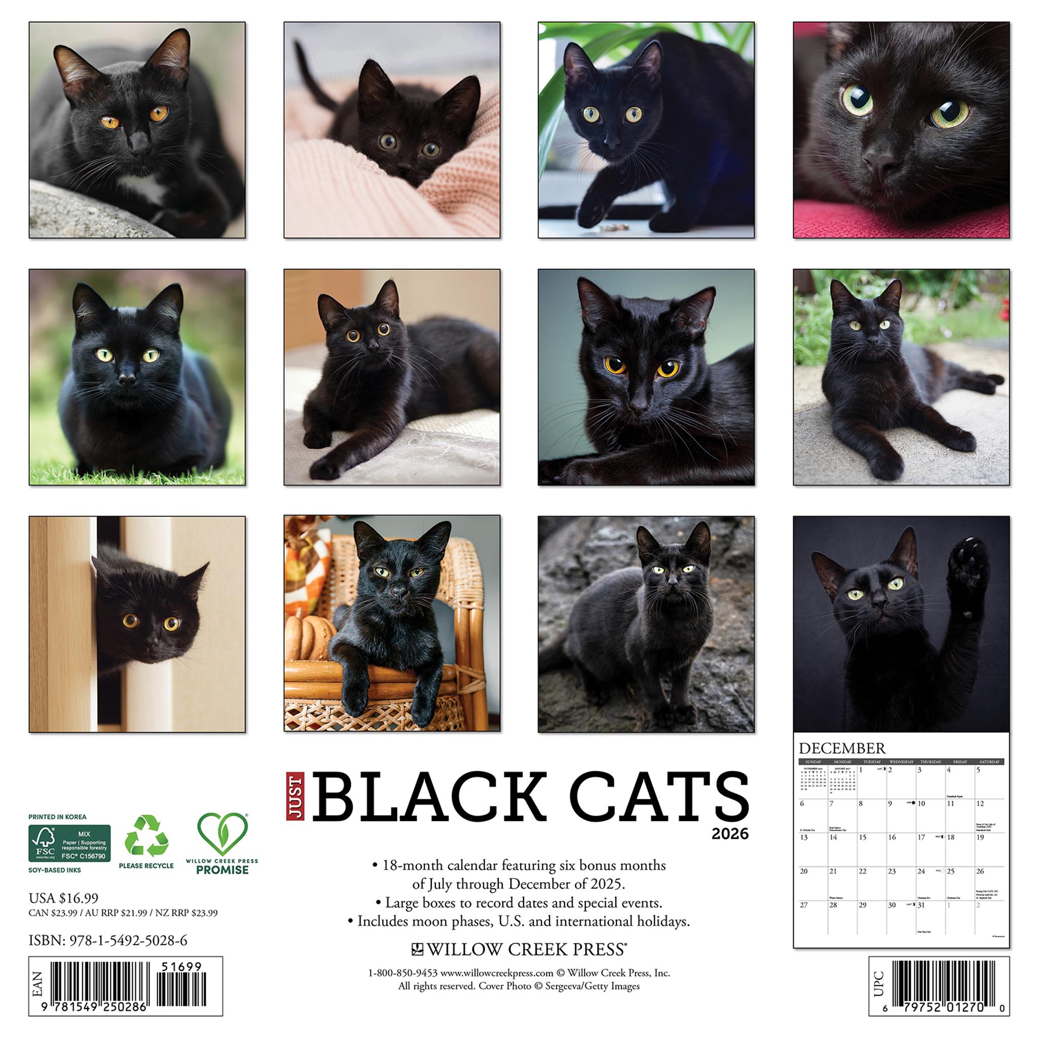 Just Black Cats 2026 Wall Calendar