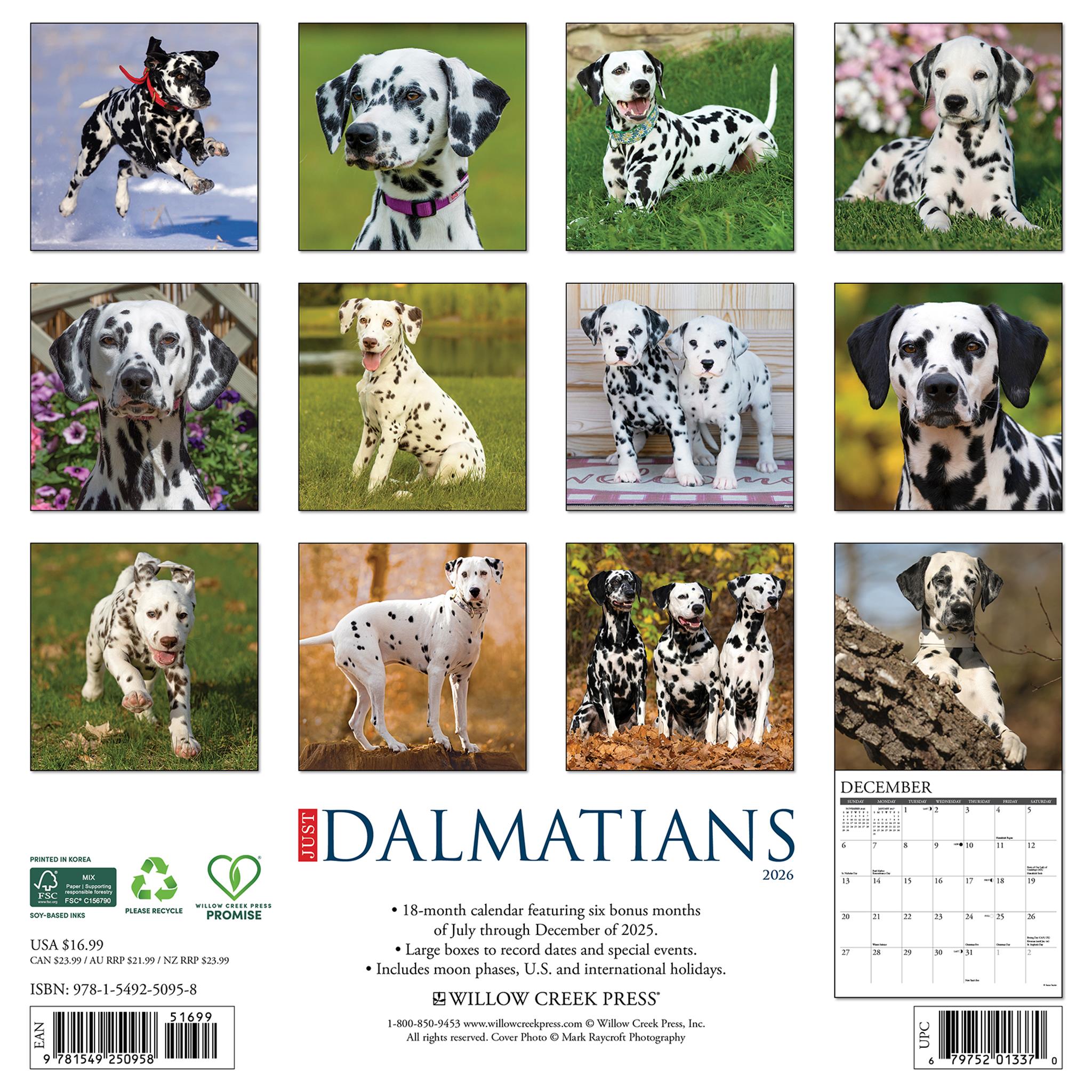 Just Dalmatians 2026 Wall Calendar