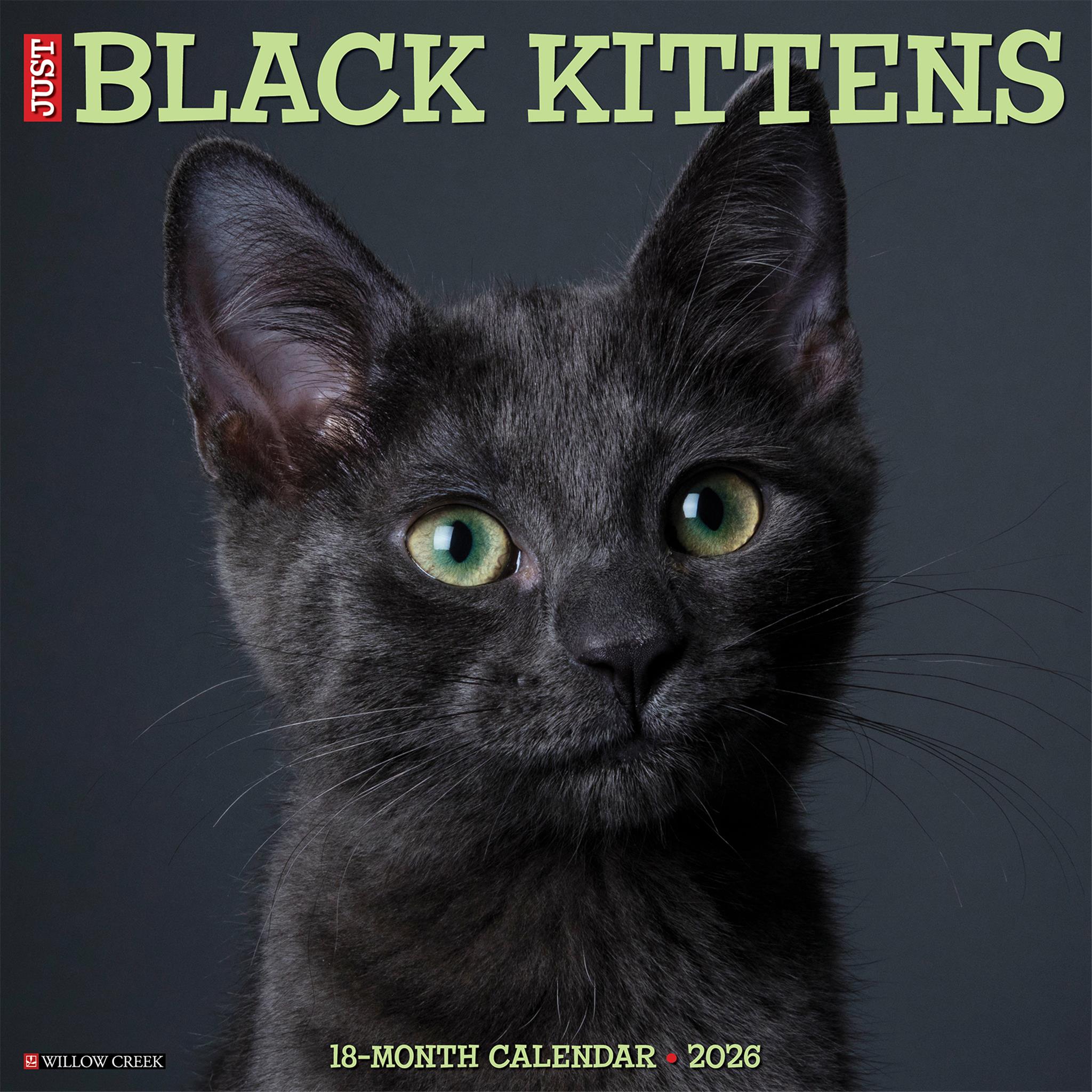 Just Black Kittens 2026 Wall Calendar - Online Only