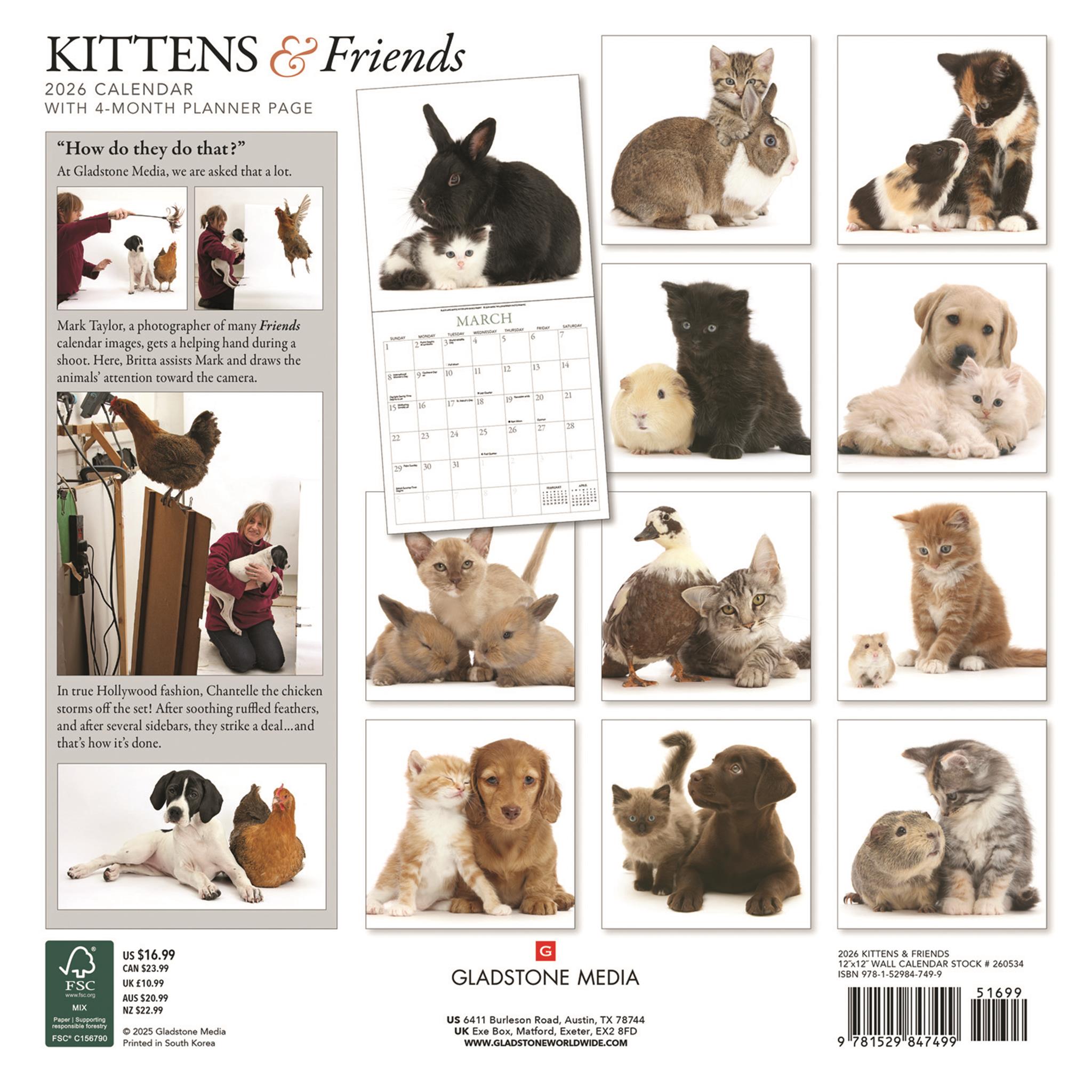 Kittens And Friends Wall 2026 Calendar - Calendar Club Canada