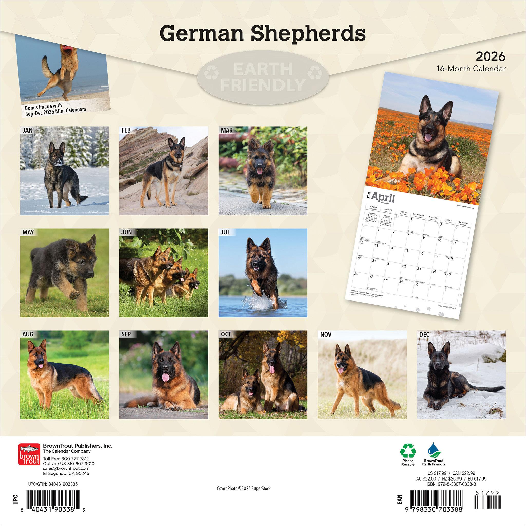 German Shepherds 2026 Wall Calendar - Online Only