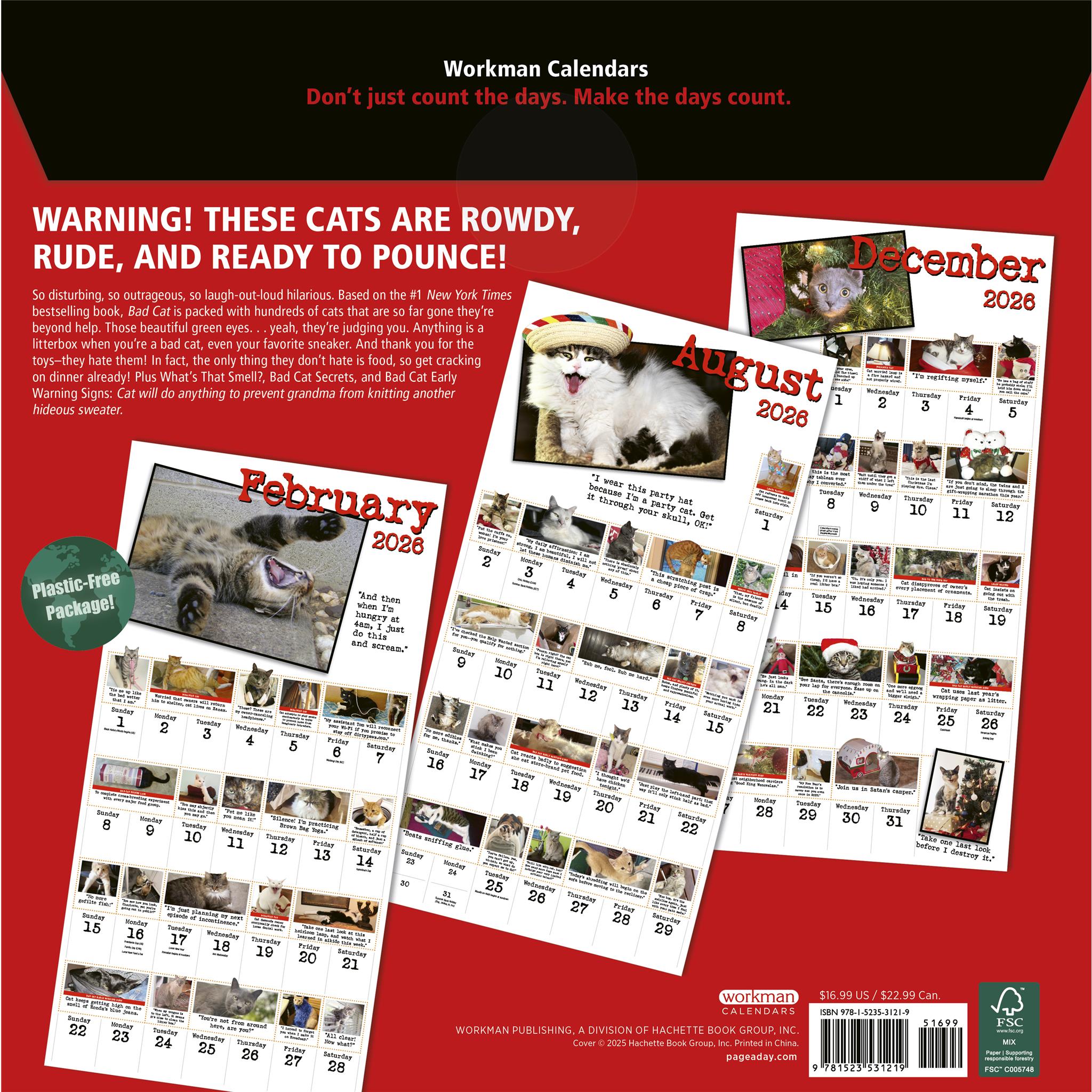 Bad Cat 2026 Wall Calendar - Online Only
