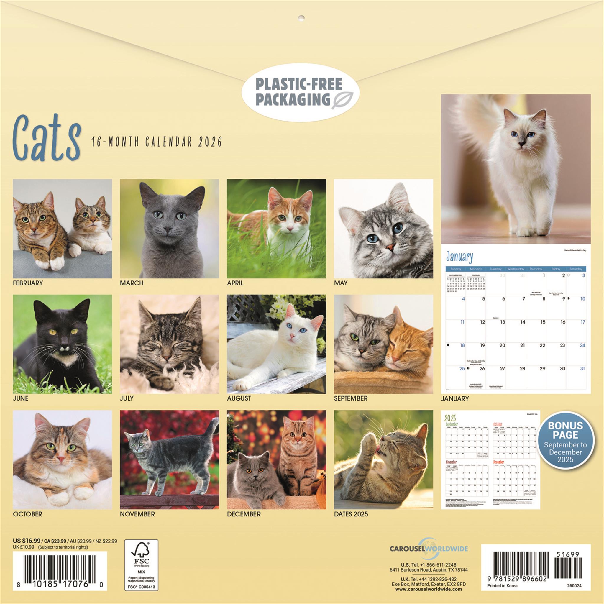 Cats Wall 2026 Calendar