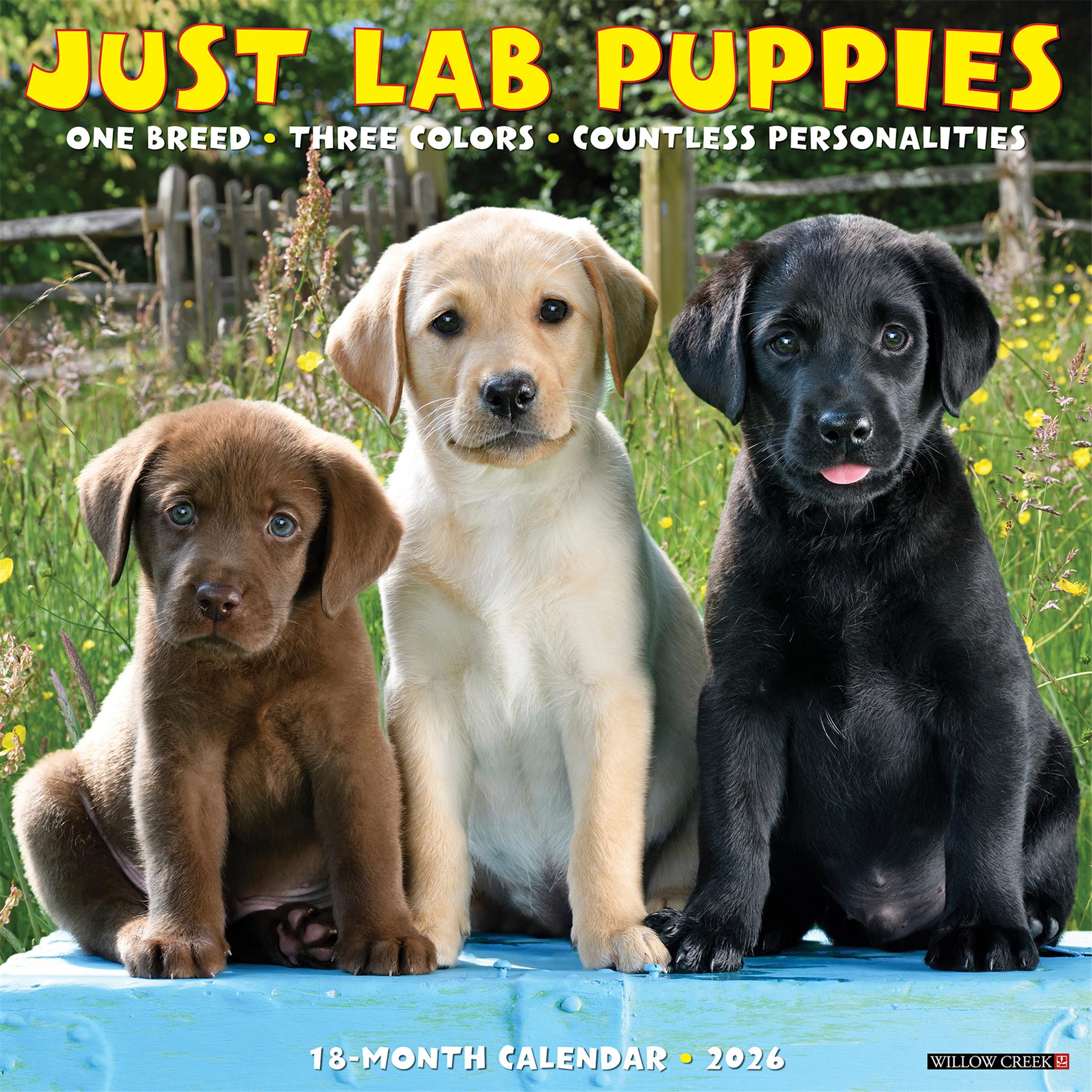 Lab Puppies 2026 Just Wall Calendar