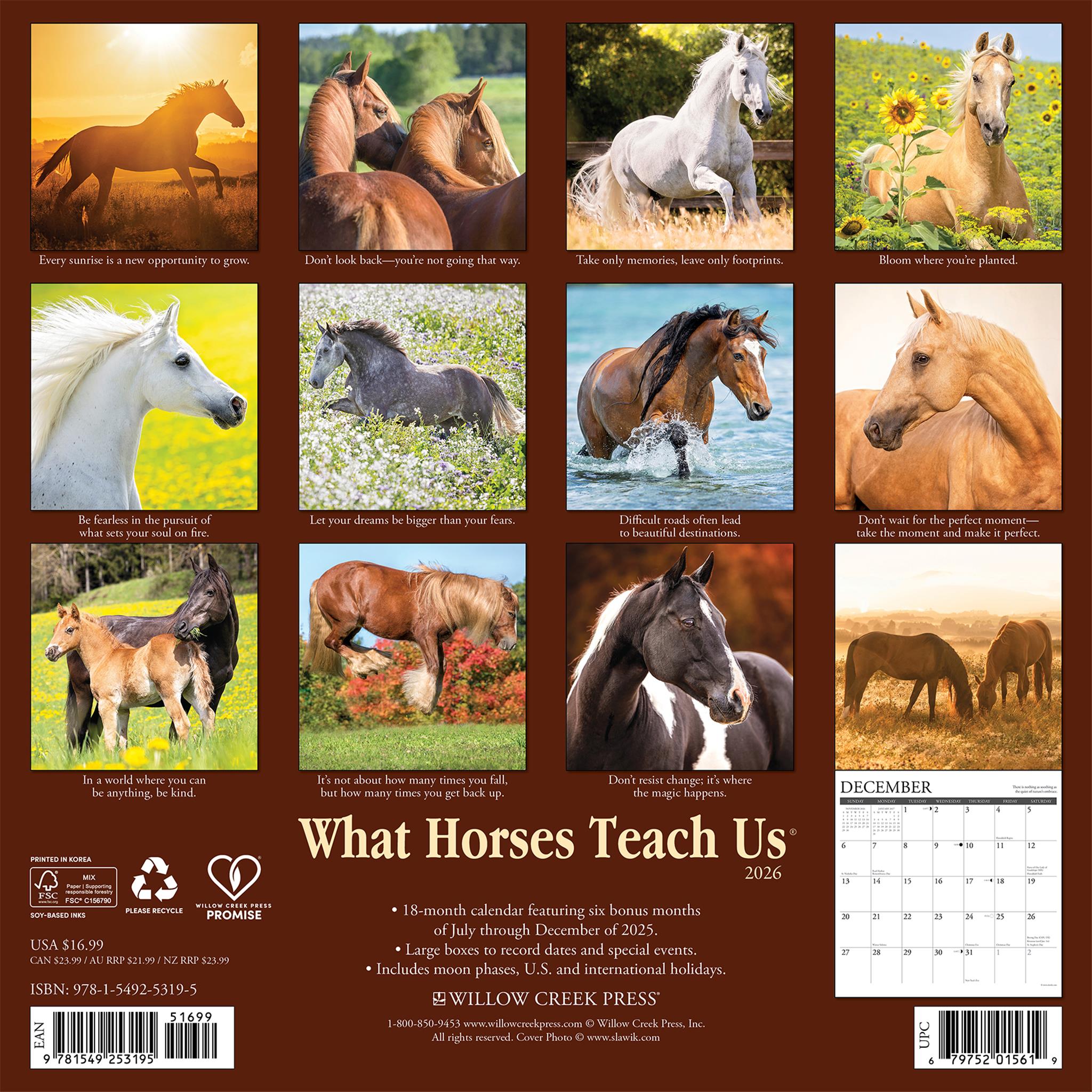 What Horses Teach Us 2026 Wall Calendar