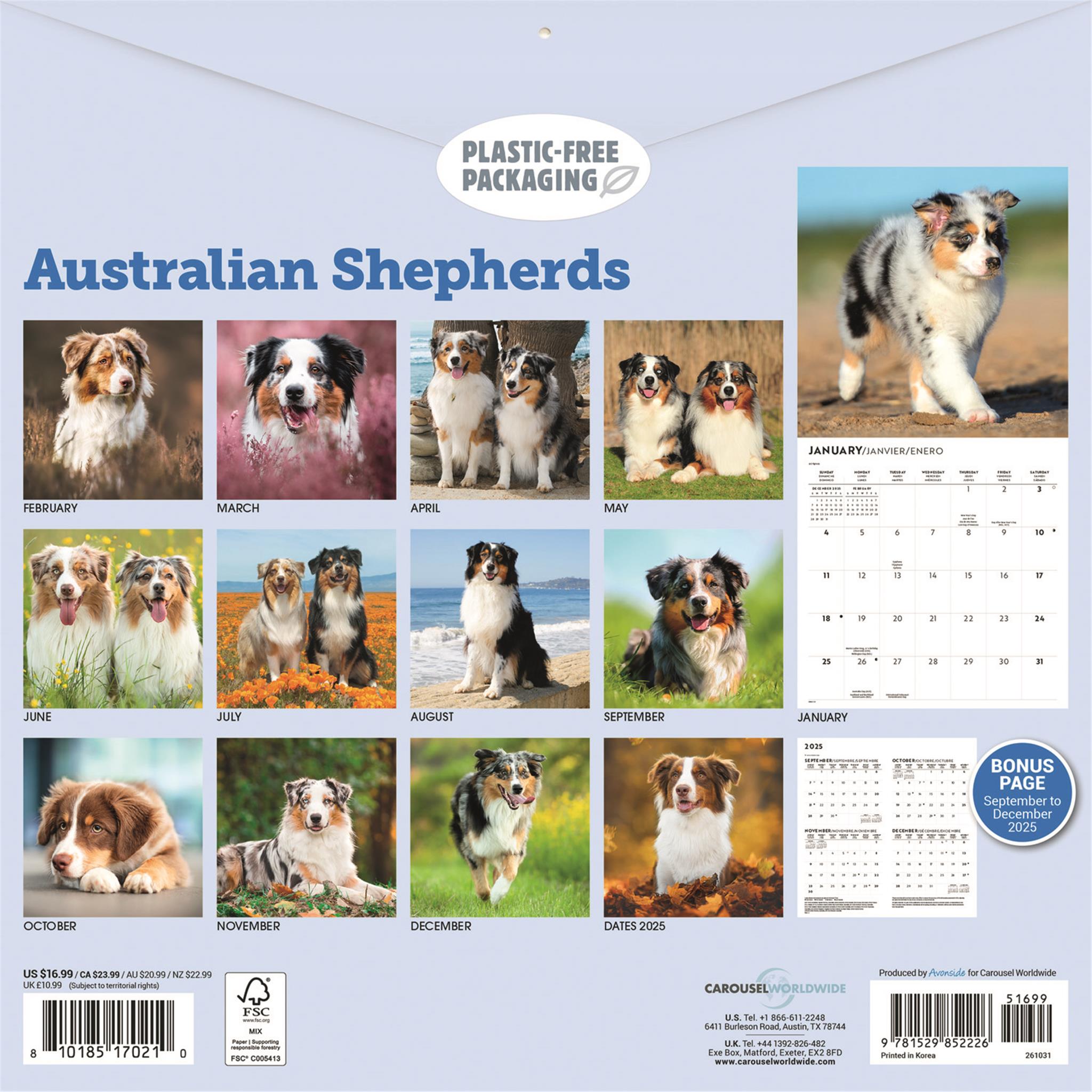 Australian Shepherds 2026 Wall Calendar