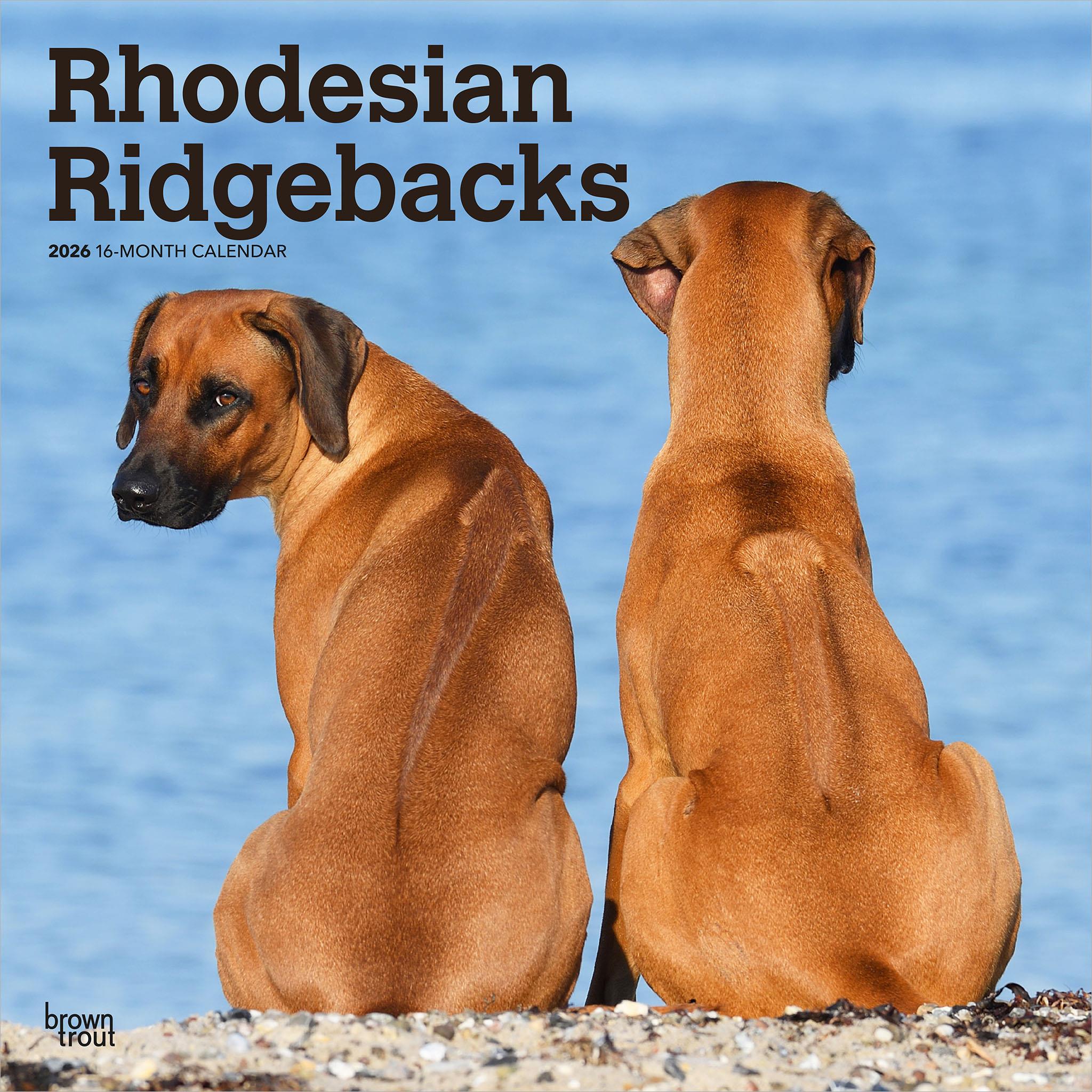 Rhodesian Ridgebacks 2026 Wall Calendar