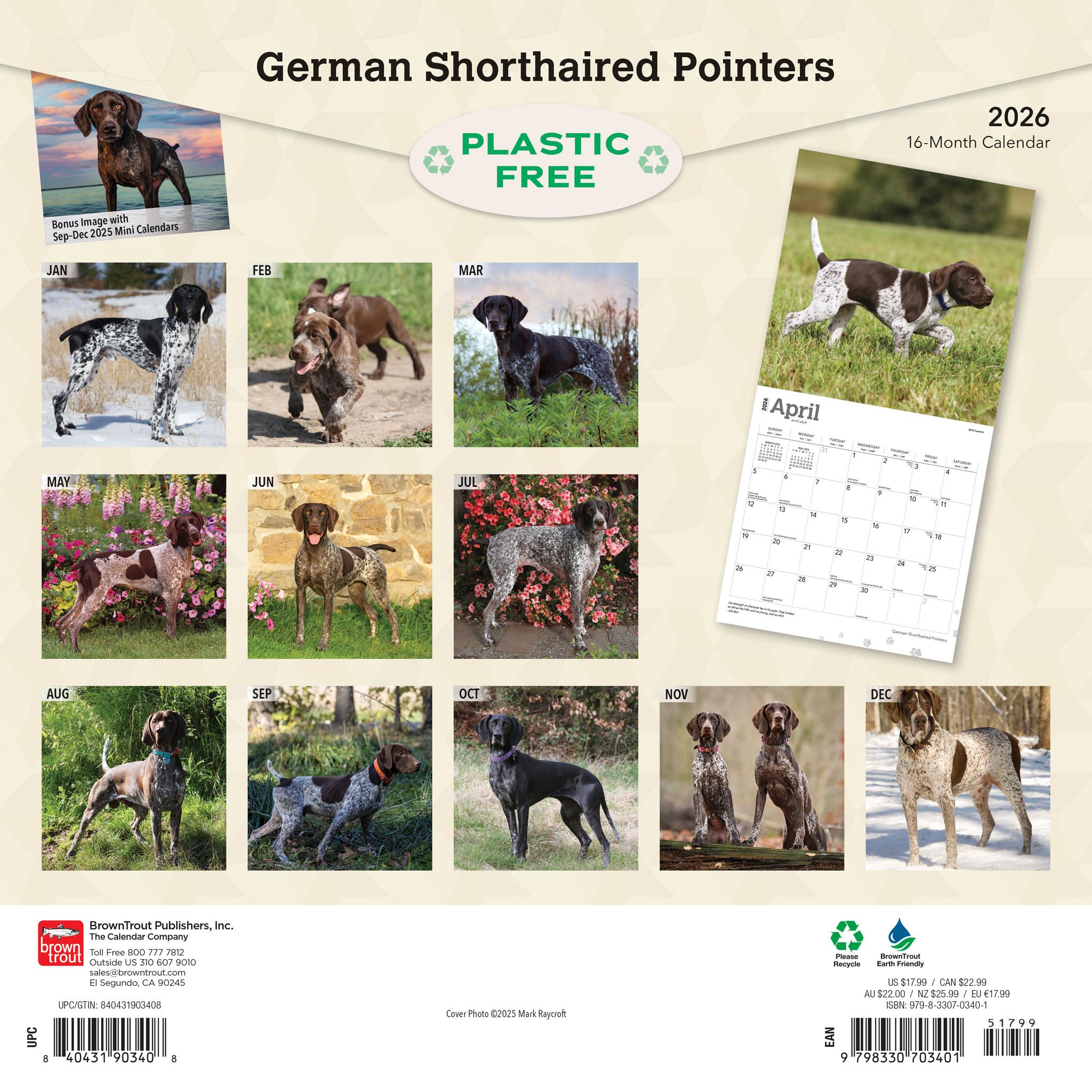 German Shorthaired Pointers 2026 Wall Calendar
