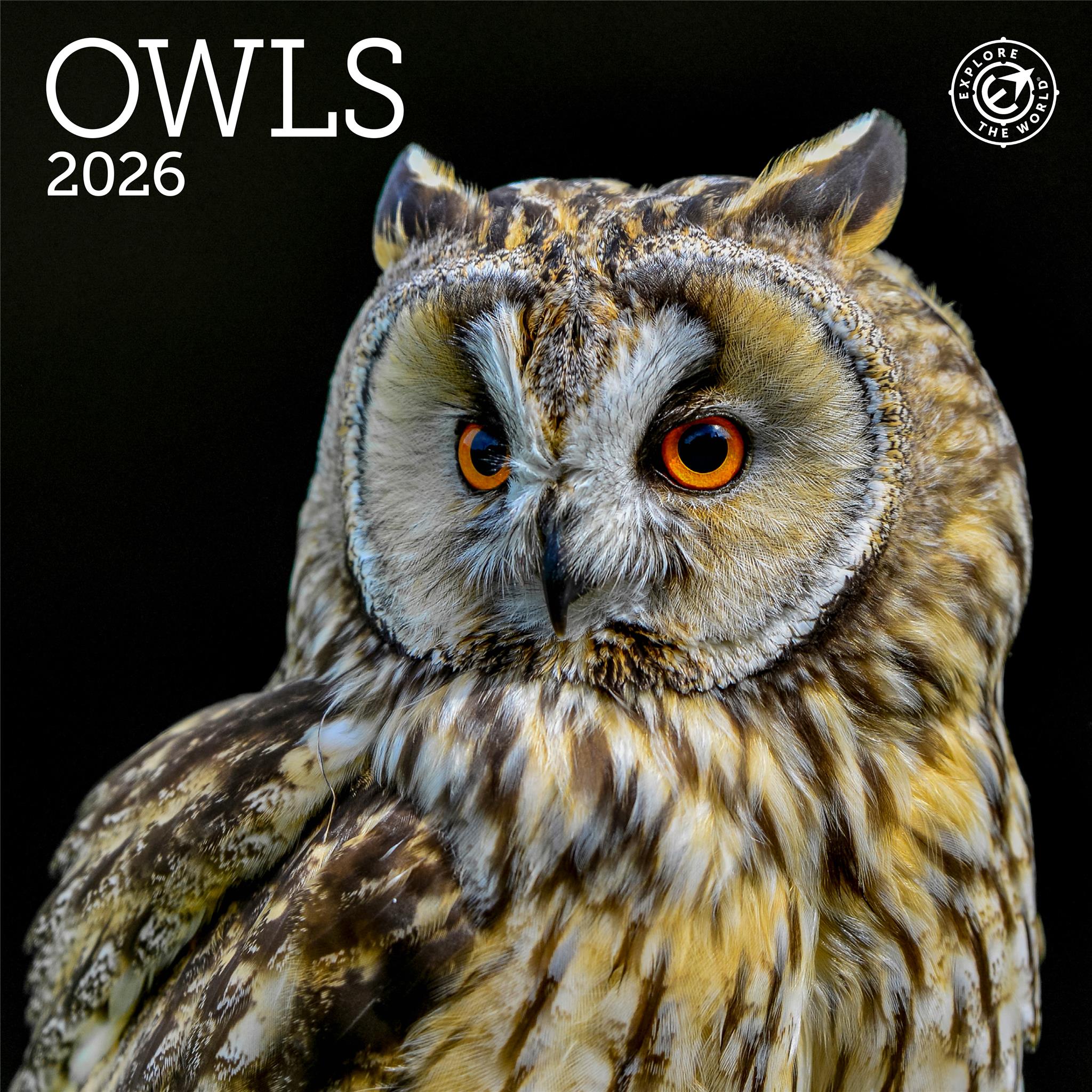 Owls 2026 Mini Calendar