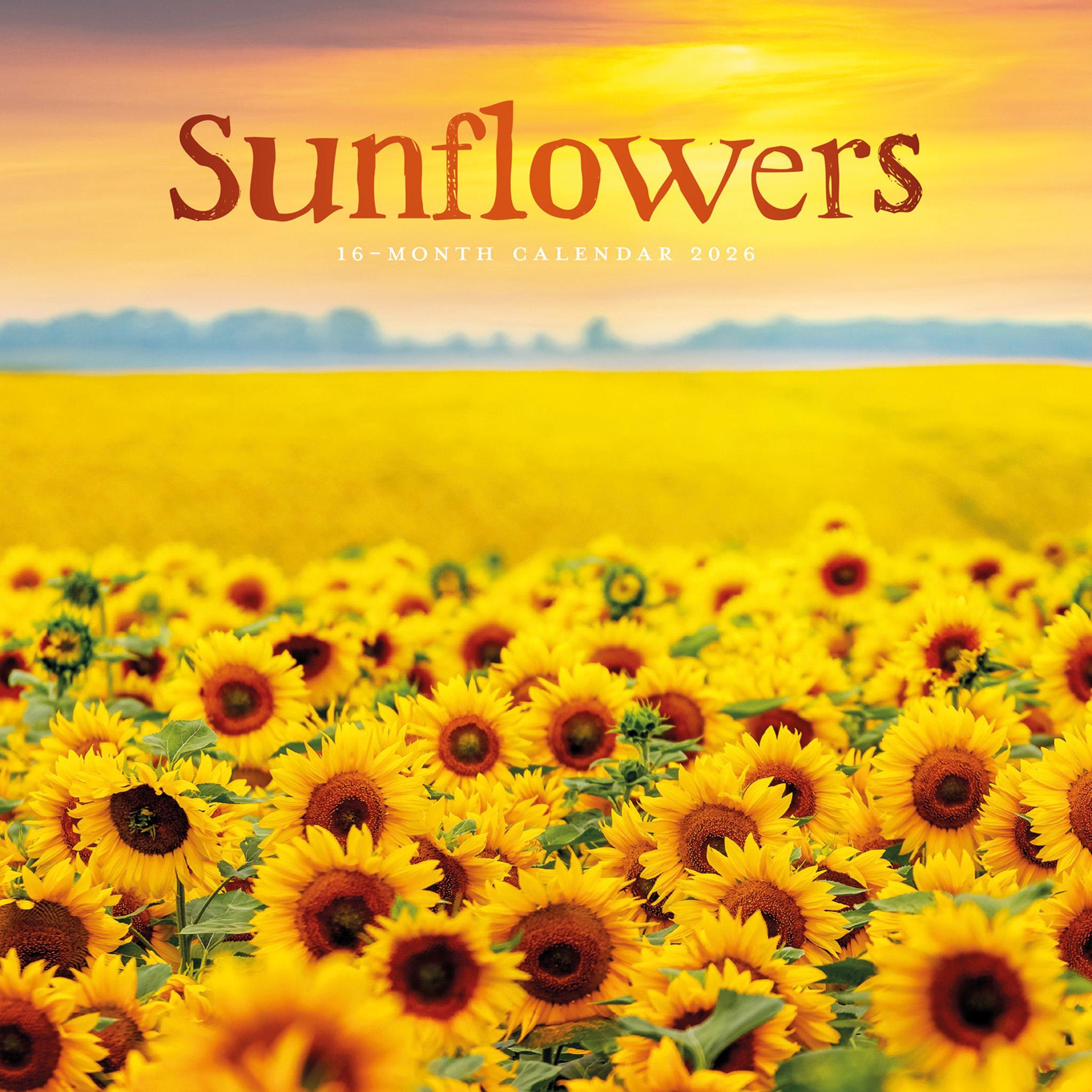 Sunflowers 2026 Wall Calendar