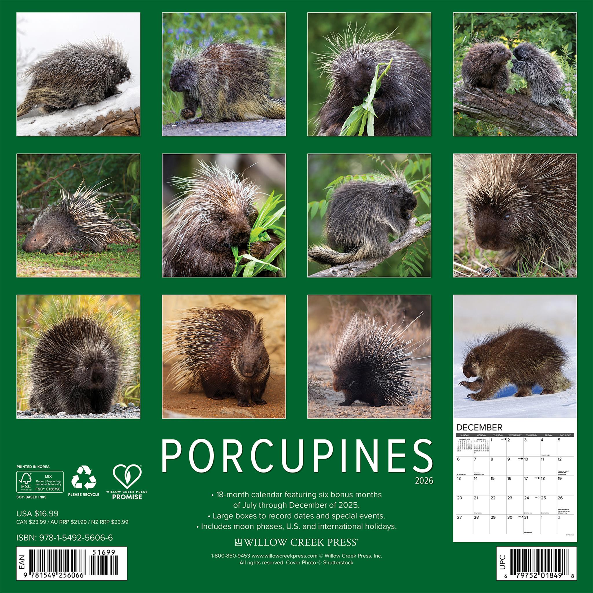 Porcupines 2026 Wall Calendar - Online Only