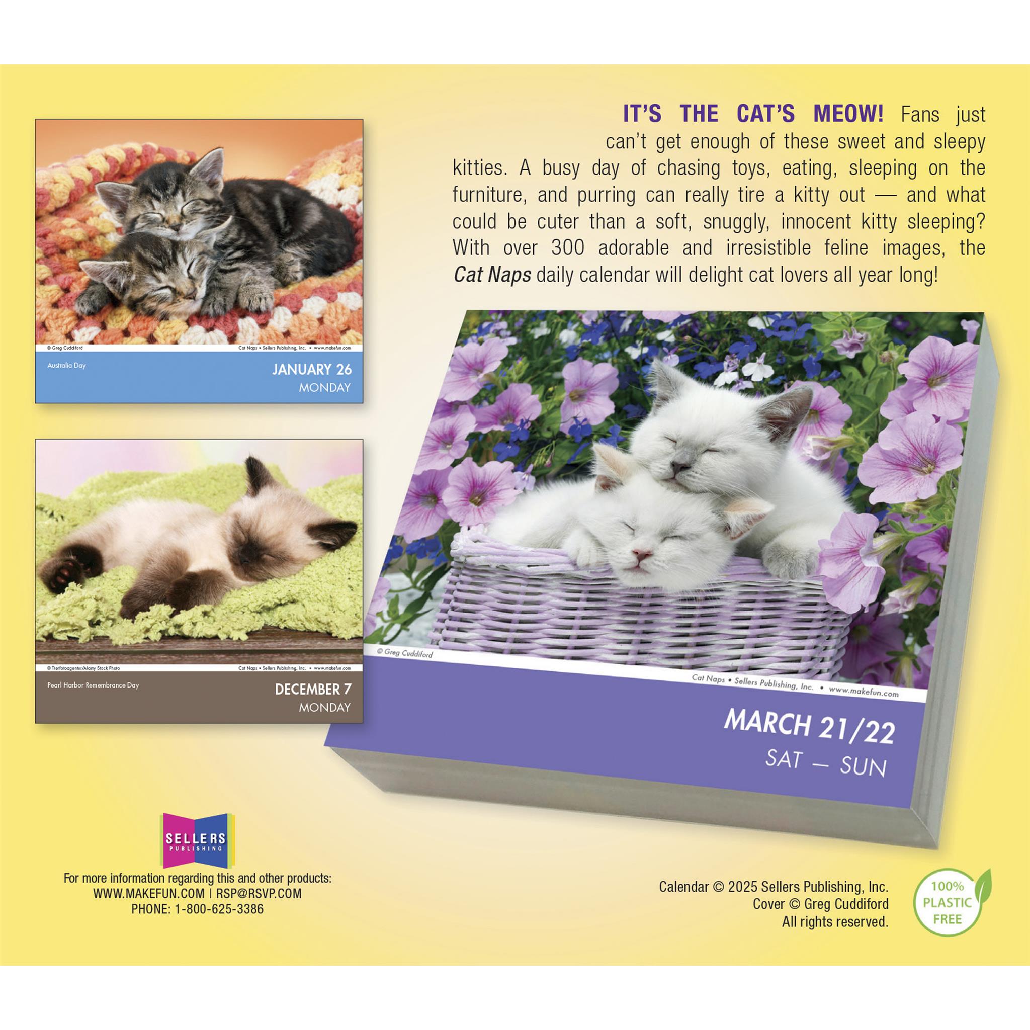 Cat Naps 2026 Box Calendar