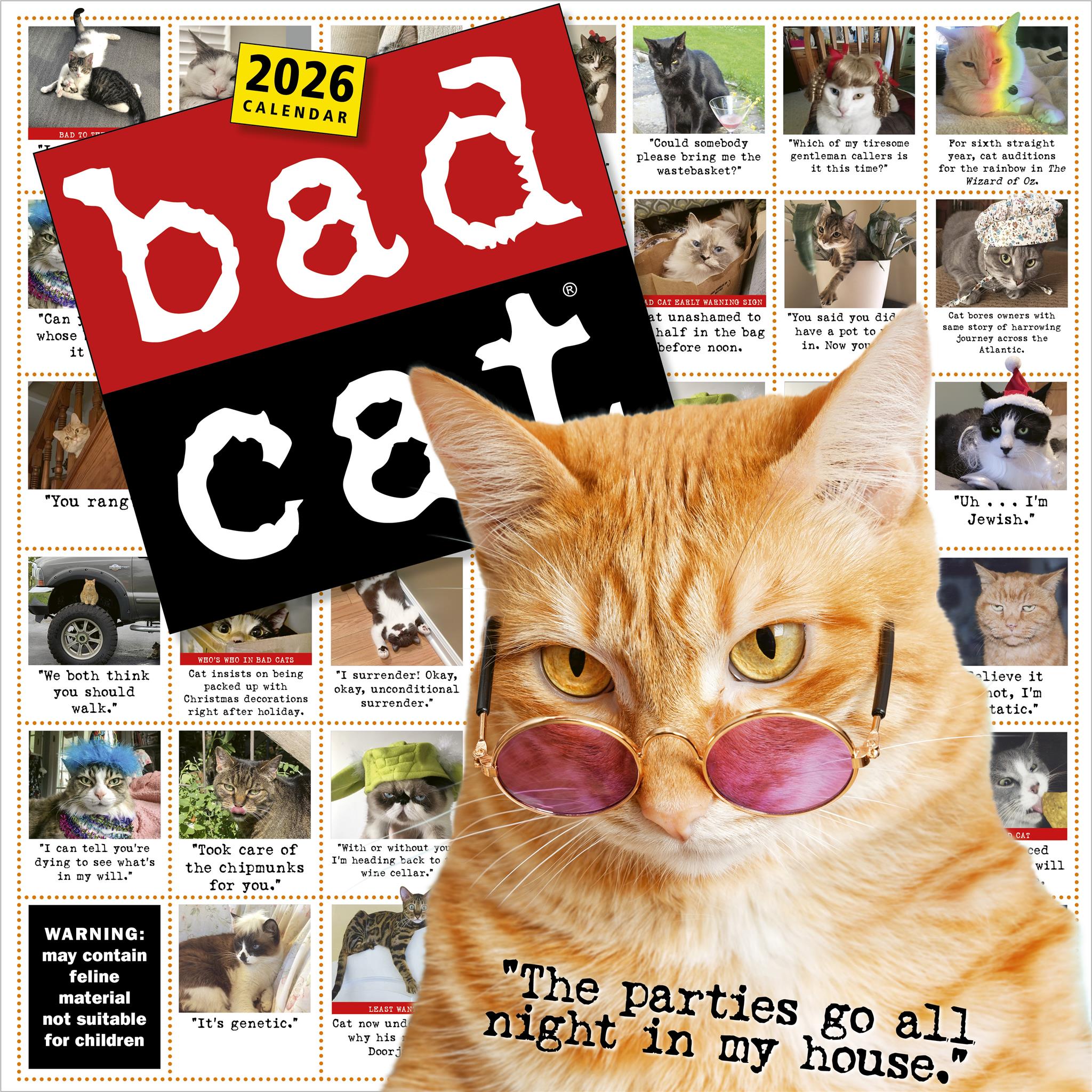 Bad Cat 2026 Wall Calendar - Online Only