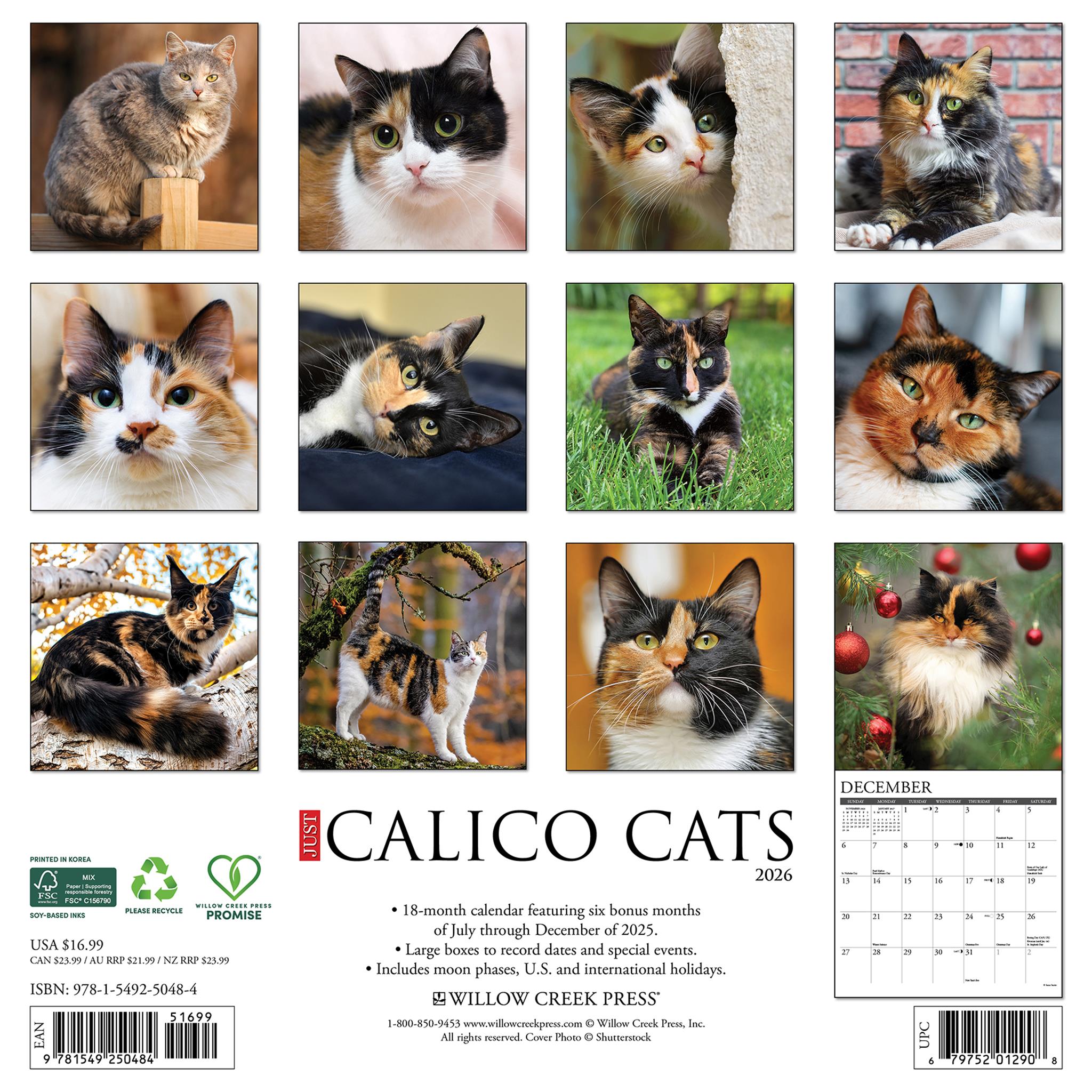 Just Calico Cats 2026 Wall Calendar