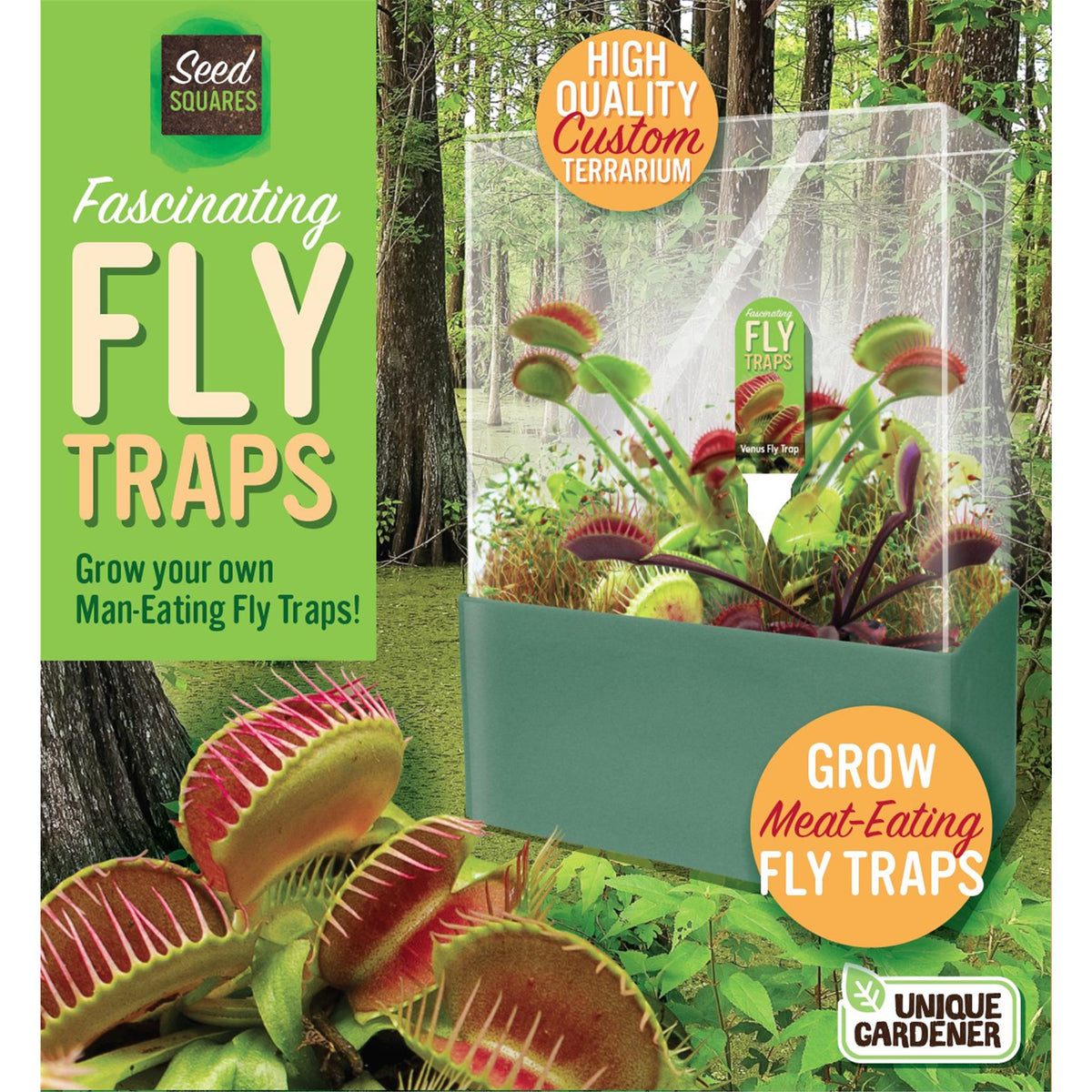 Fascinating Flytrap Seed Square