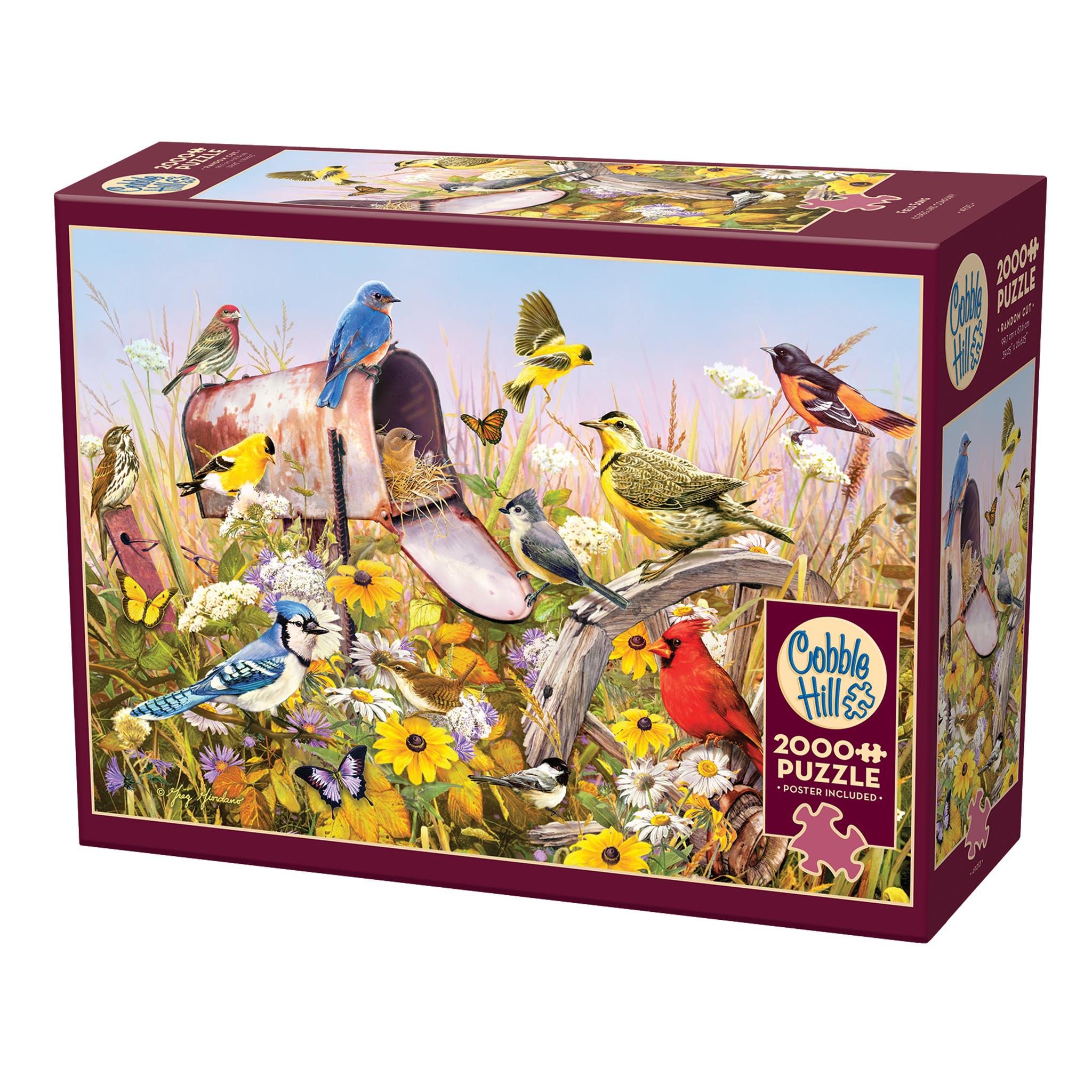 The main image is of an overgrown mailbox with wild flowers and a collection of backyard birds. Cobble Hill branded with noted Poster included.