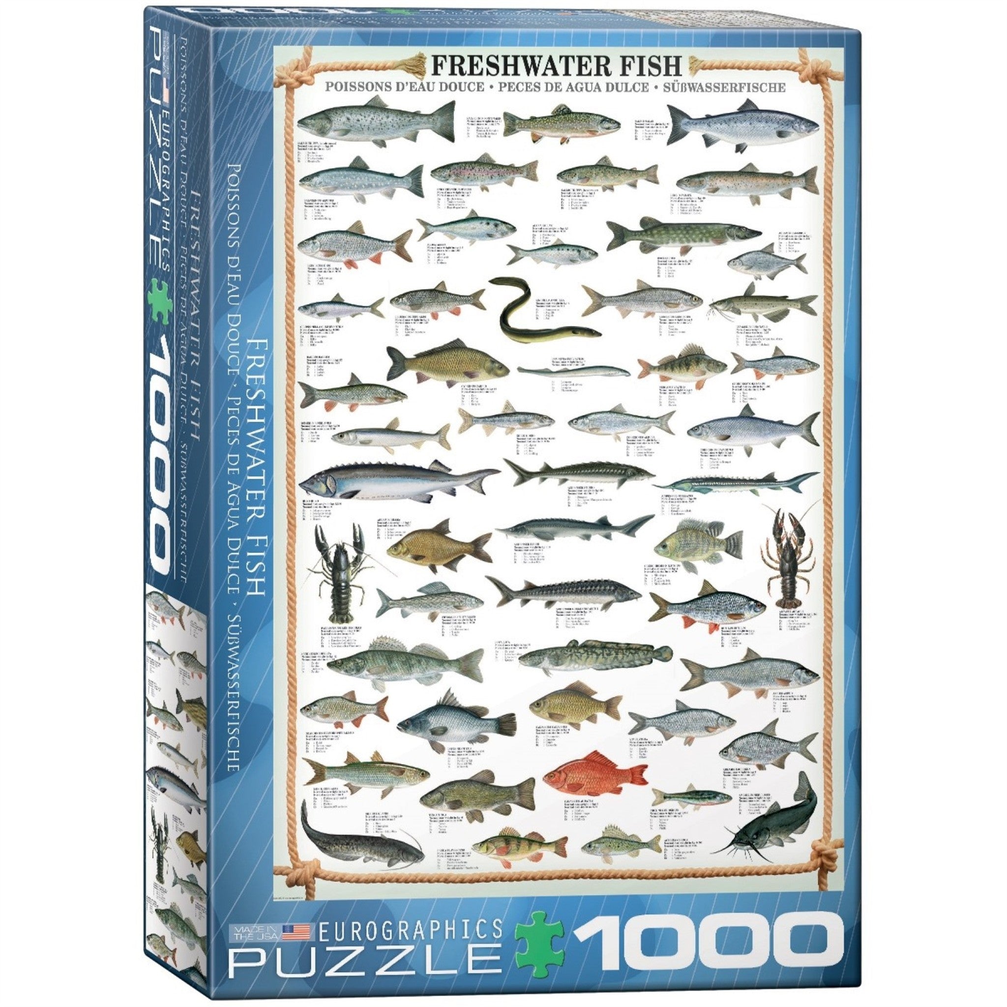 Freshwater Fish 1000 Piece Puzzle