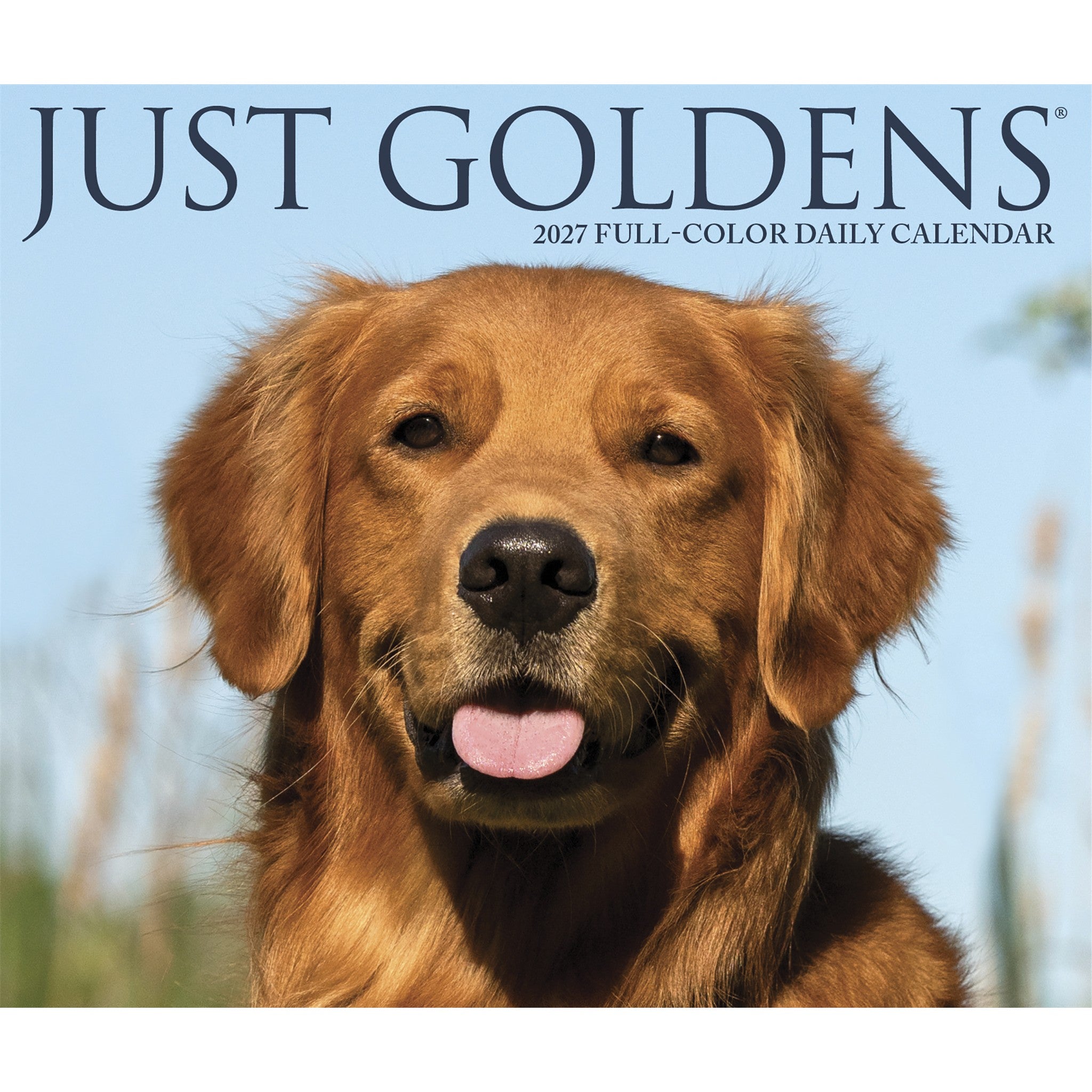 Goldens 2027 Box Calendar